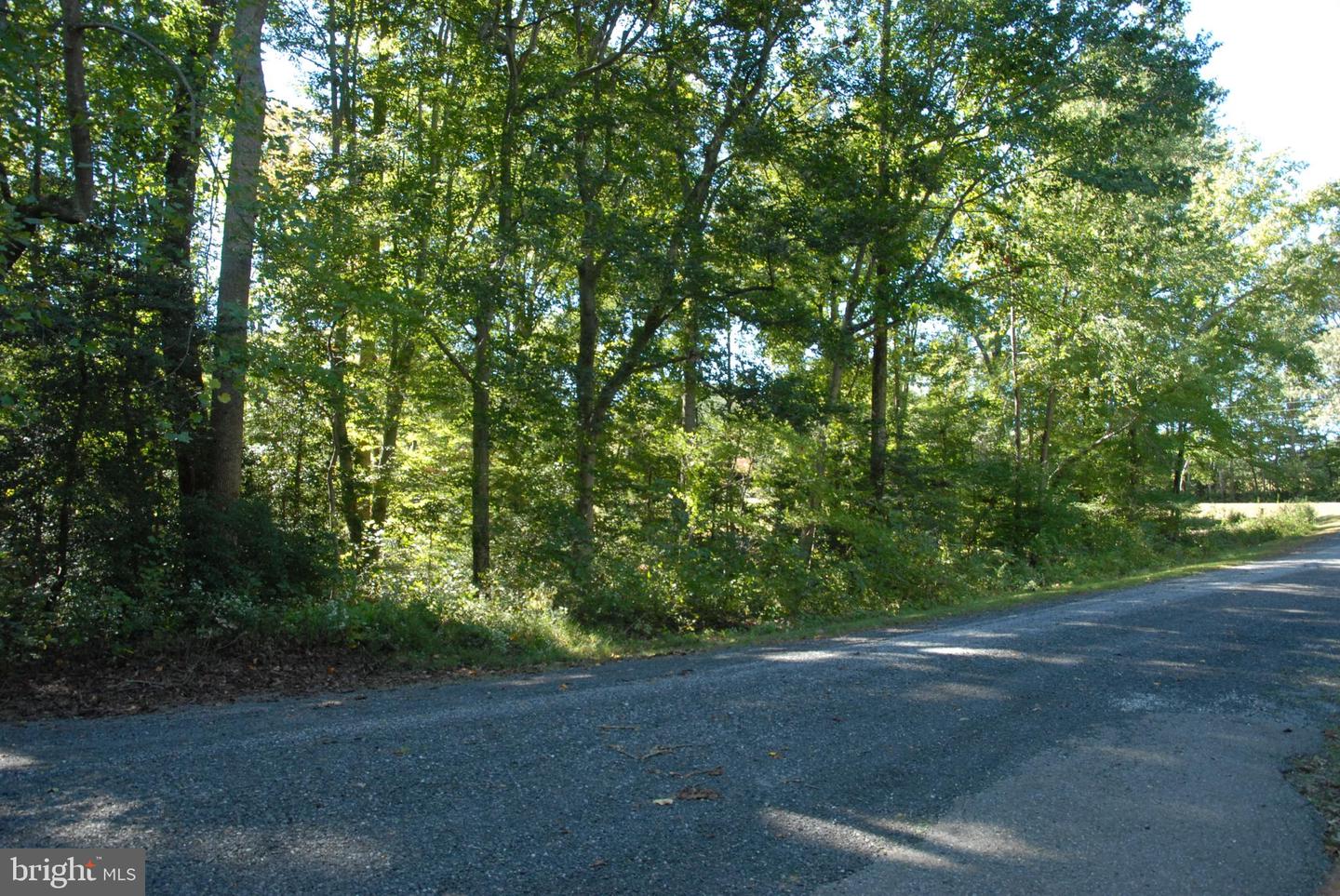 LOT 83 - COMMONS CT, MONTROSS, Virginia 22520, ,Land,For sale,LOT 83 - COMMONS CT,VAWE2009224 MLS # VAWE2009224