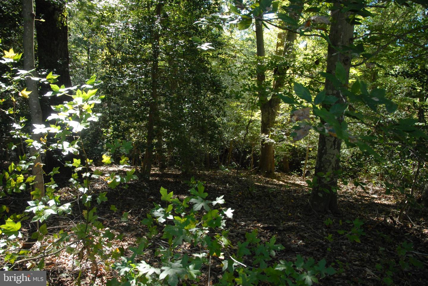 LOT 83 - COMMONS CT, MONTROSS, Virginia 22520, ,Land,For sale,LOT 83 - COMMONS CT,VAWE2009224 MLS # VAWE2009224