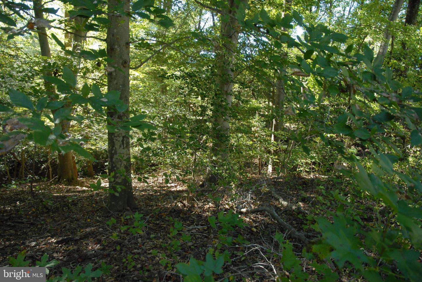 LOT 83 - COMMONS CT, MONTROSS, Virginia 22520, ,Land,For sale,LOT 83 - COMMONS CT,VAWE2009224 MLS # VAWE2009224