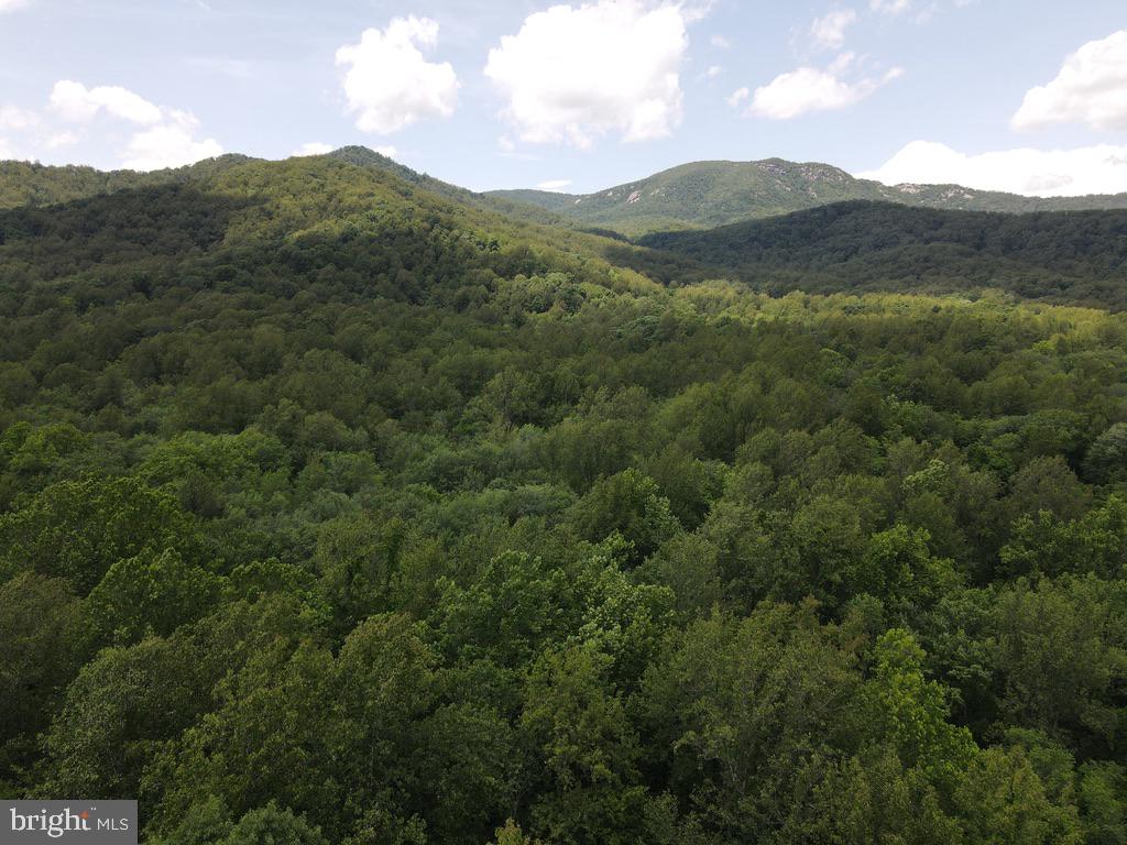 3016 ETLAN RD, ETLAN, Virginia 22719, 3 Bedrooms Bedrooms, ,3 BathroomsBathrooms,Residential,For sale,3016 ETLAN RD,VAMA2002114 MLS # VAMA2002114