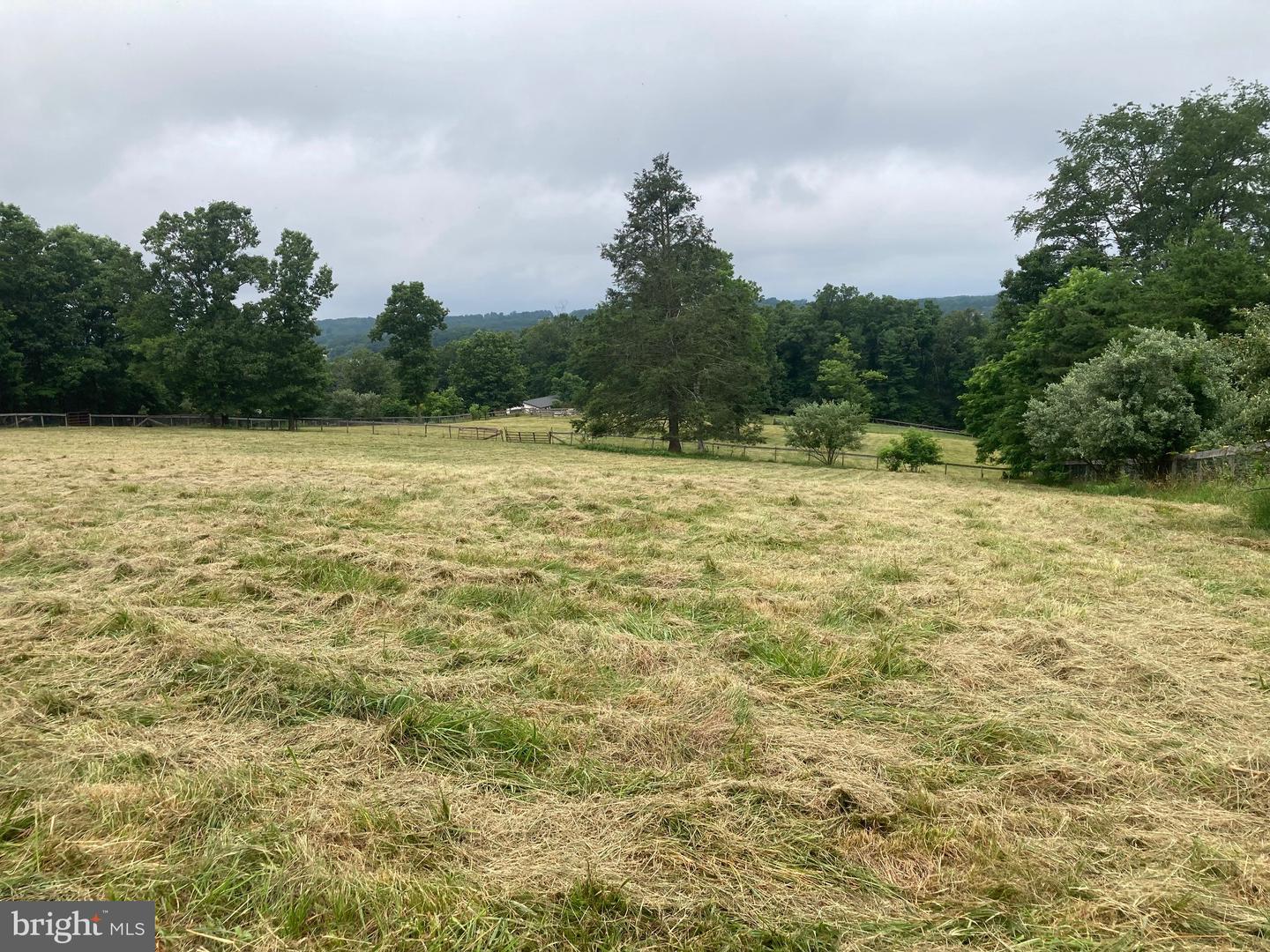 686 PARISHVILLE RD, GORE, Virginia 22637, ,Land,For sale,686 PARISHVILLE RD,VAFV2035200 MLS # VAFV2035200