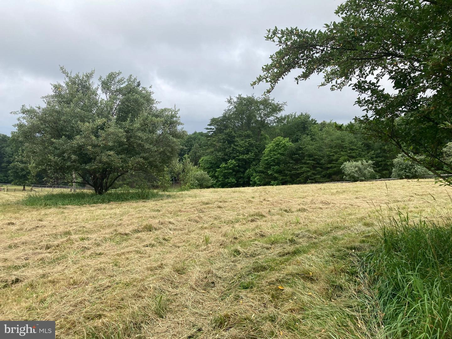 686 PARISHVILLE RD, GORE, Virginia 22637, ,Land,For sale,686 PARISHVILLE RD,VAFV2035200 MLS # VAFV2035200