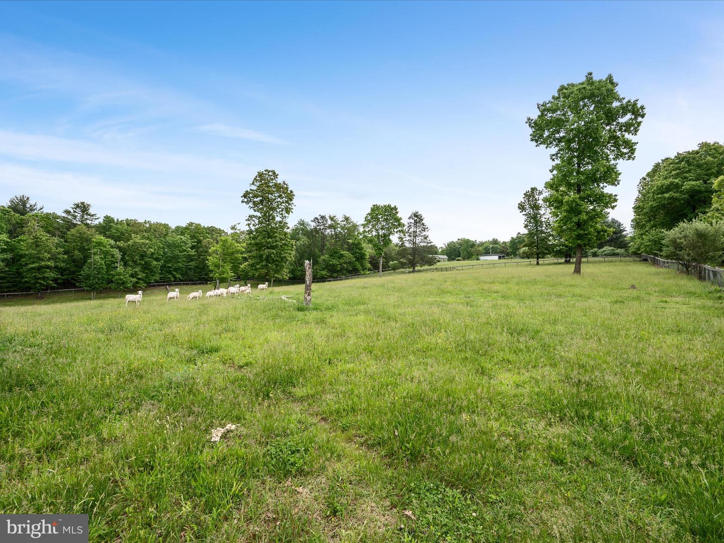 686 PARISHVILLE RD, GORE, Virginia 22637, ,Land,For sale,686 PARISHVILLE RD,VAFV2035200 MLS # VAFV2035200