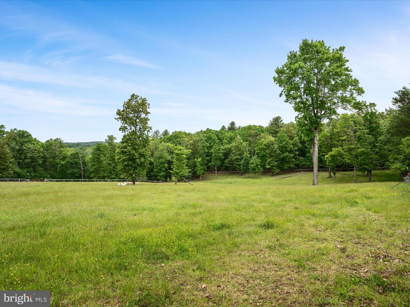 686 PARISHVILLE RD, GORE, Virginia 22637, ,Land,For sale,686 PARISHVILLE RD,VAFV2035200 MLS # VAFV2035200