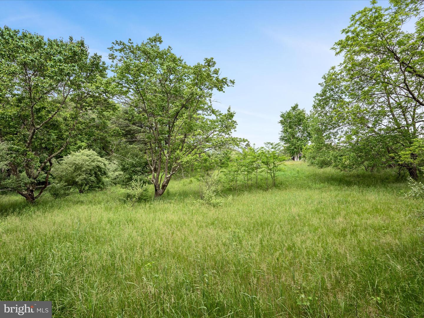 686 PARISHVILLE RD, GORE, Virginia 22637, ,Land,For sale,686 PARISHVILLE RD,VAFV2035200 MLS # VAFV2035200