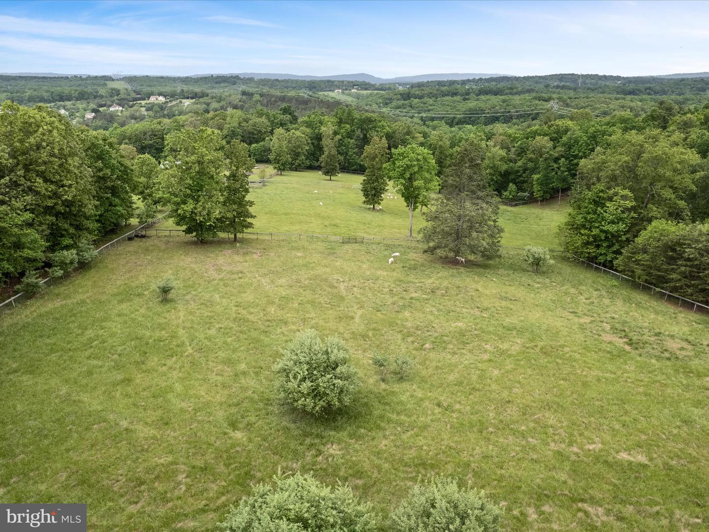 686 PARISHVILLE RD, GORE, Virginia 22637, ,Land,For sale,686 PARISHVILLE RD,VAFV2035200 MLS # VAFV2035200