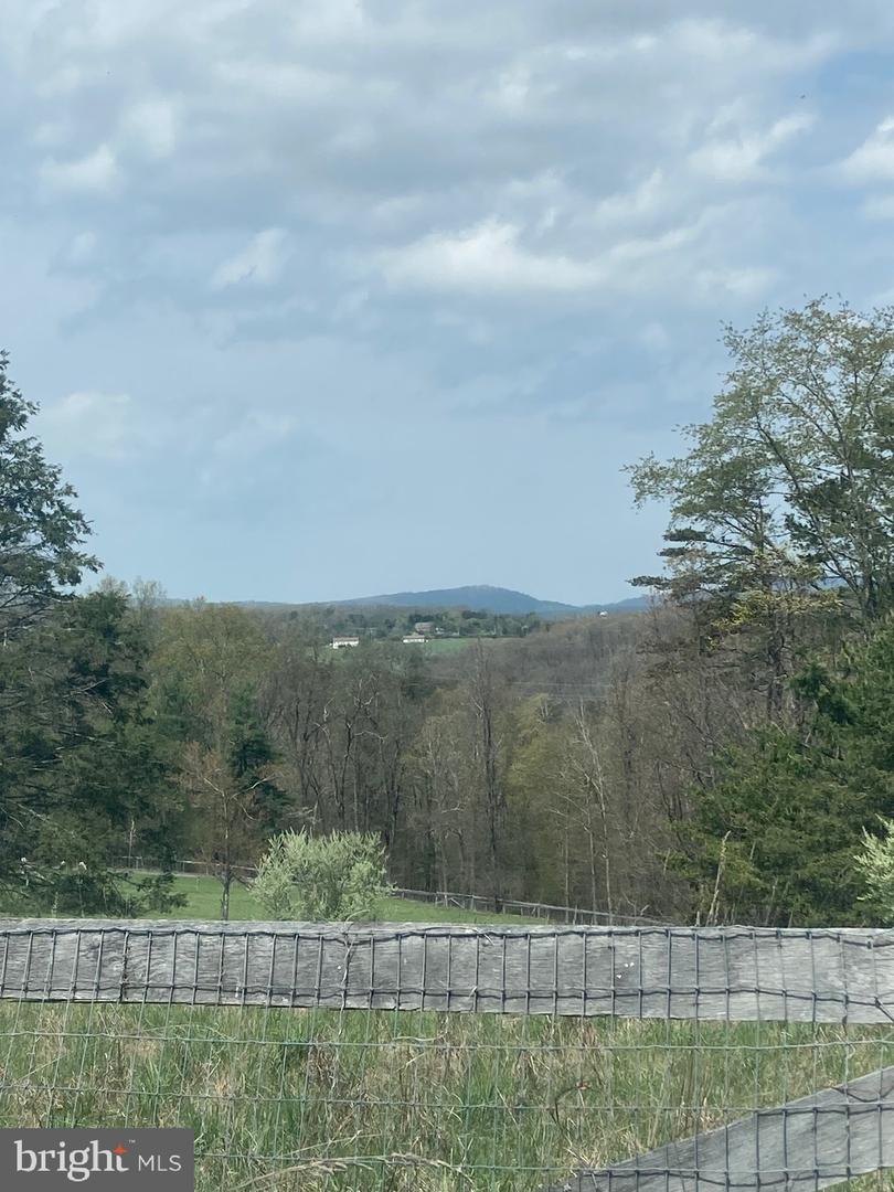 686 PARISHVILLE RD, GORE, Virginia 22637, ,Land,For sale,686 PARISHVILLE RD,VAFV2035200 MLS # VAFV2035200