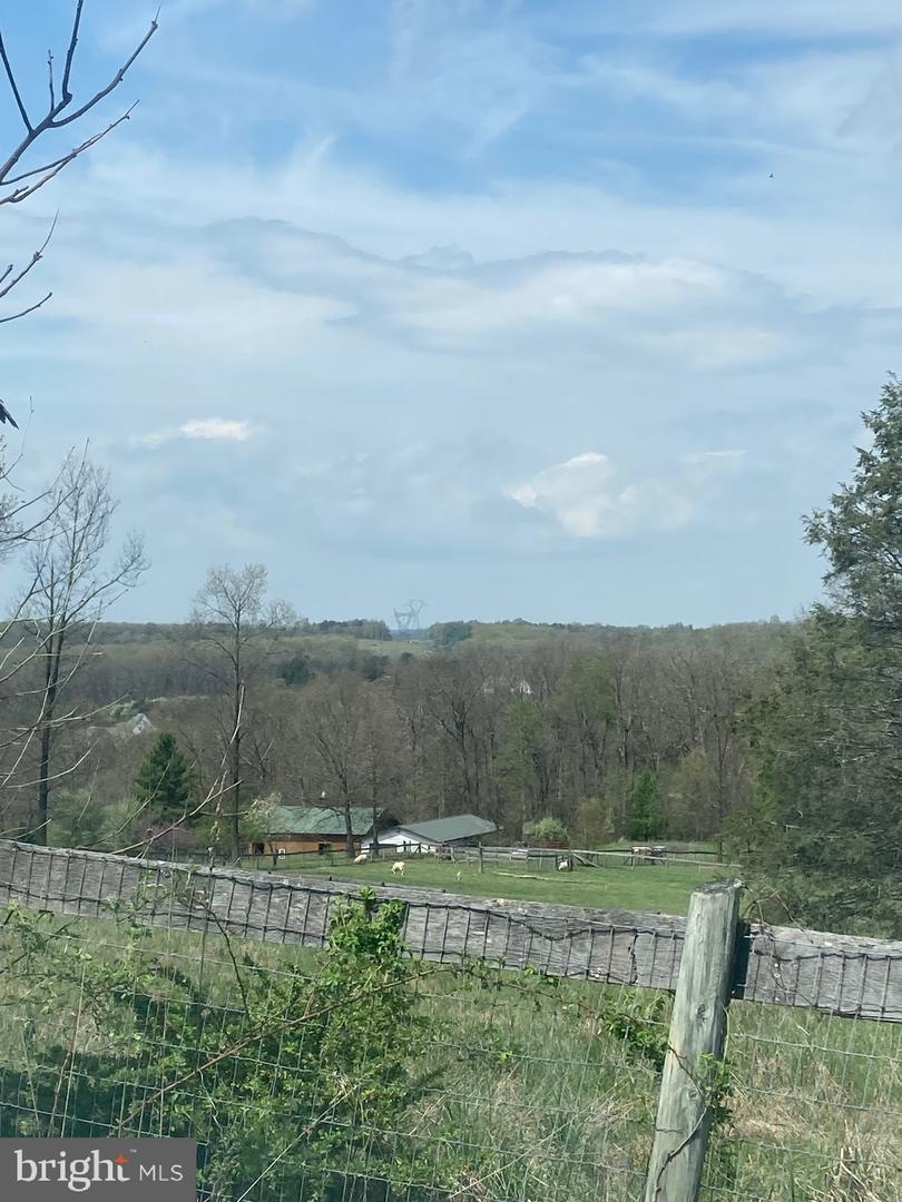 686 PARISHVILLE RD, GORE, Virginia 22637, ,Land,For sale,686 PARISHVILLE RD,VAFV2035200 MLS # VAFV2035200
