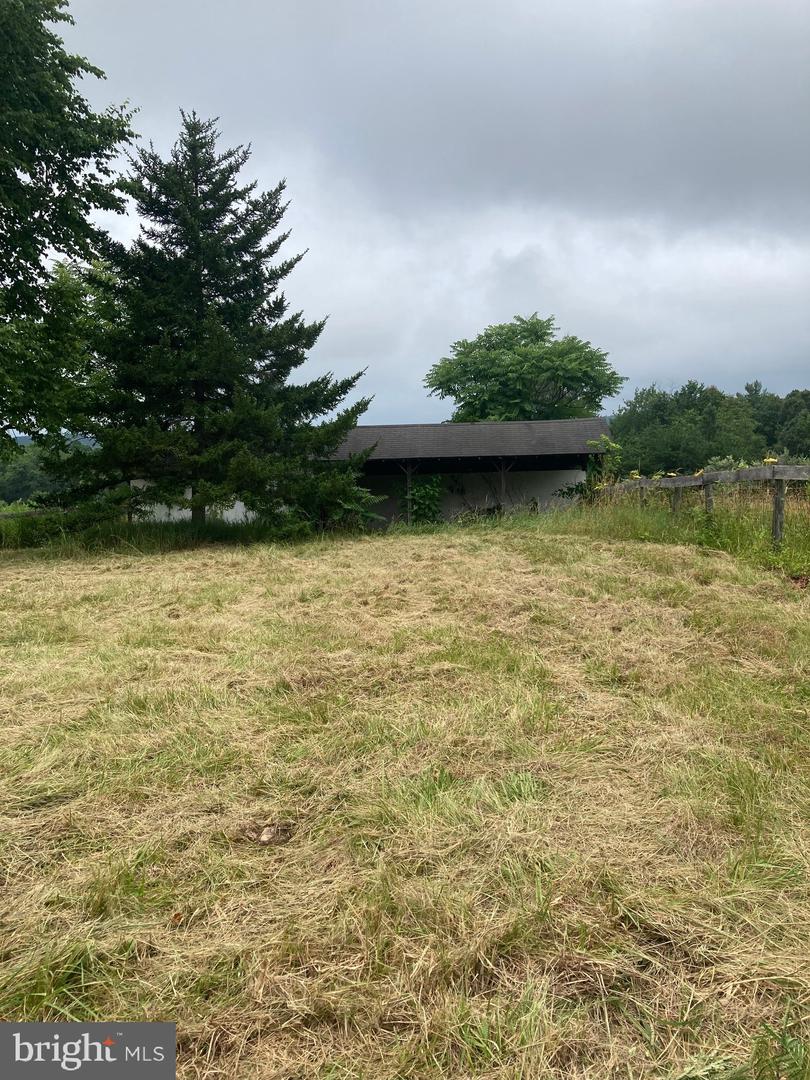 686 PARISHVILLE RD, GORE, Virginia 22637, ,Land,For sale,686 PARISHVILLE RD,VAFV2035200 MLS # VAFV2035200