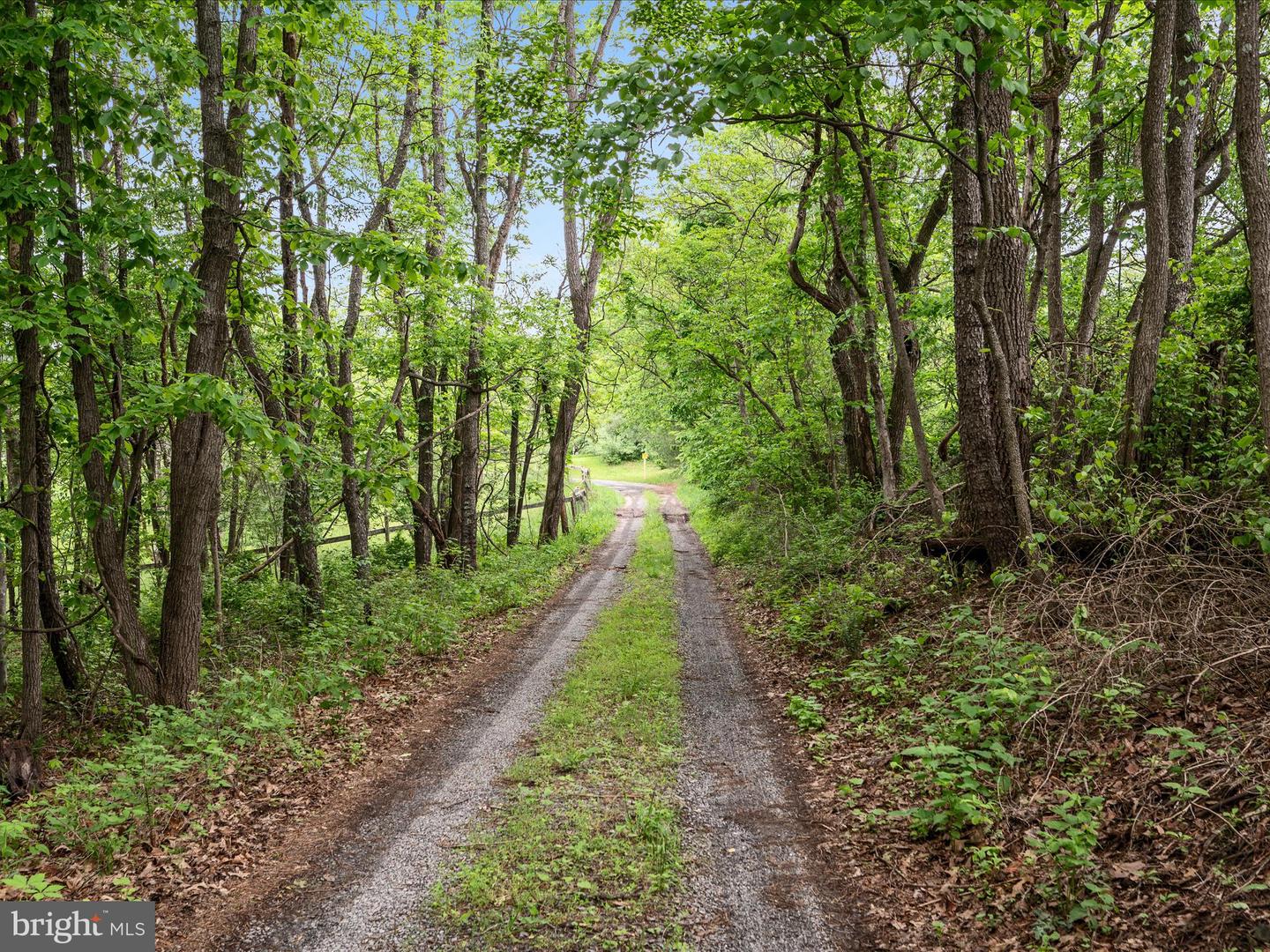 686 PARISHVILLE RD, GORE, Virginia 22637, ,Land,For sale,686 PARISHVILLE RD,VAFV2035200 MLS # VAFV2035200