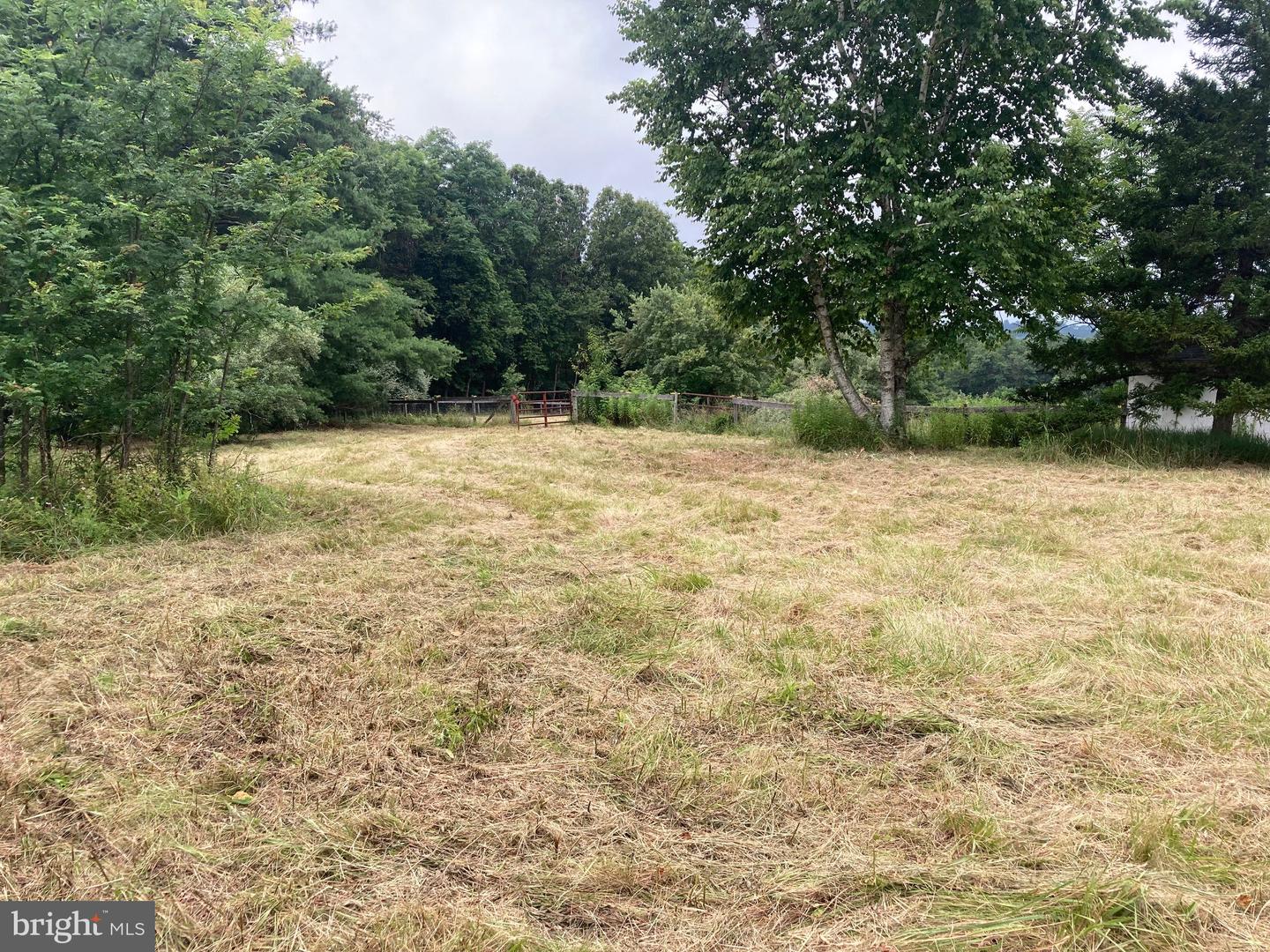 686 PARISHVILLE RD, GORE, Virginia 22637, ,Land,For sale,686 PARISHVILLE RD,VAFV2035200 MLS # VAFV2035200