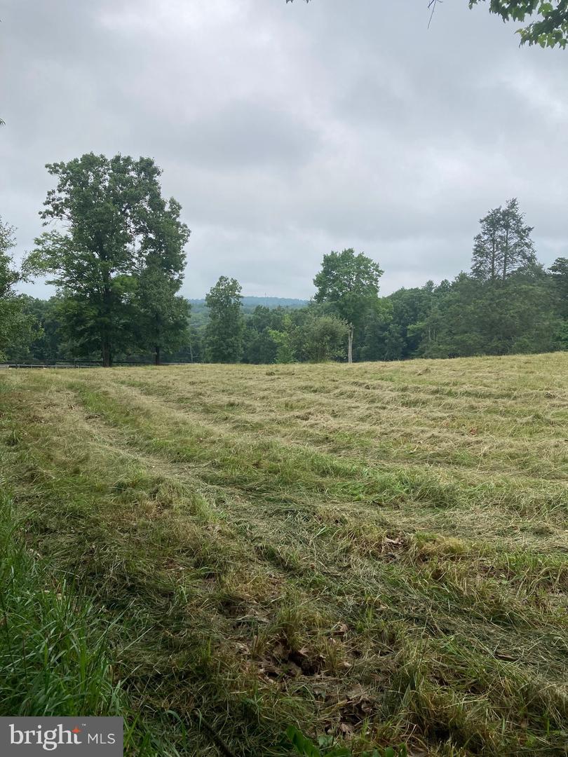 686 PARISHVILLE RD, GORE, Virginia 22637, ,Land,For sale,686 PARISHVILLE RD,VAFV2035200 MLS # VAFV2035200