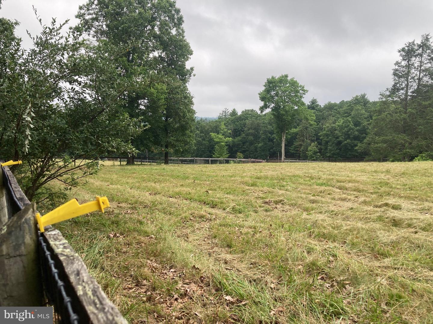 686 PARISHVILLE RD, GORE, Virginia 22637, ,Land,For sale,686 PARISHVILLE RD,VAFV2035200 MLS # VAFV2035200