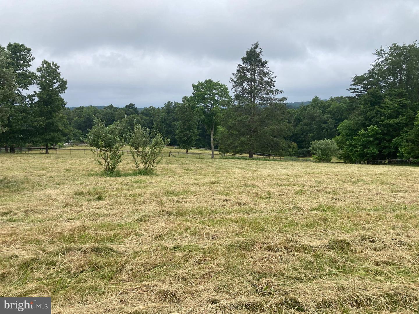 686 PARISHVILLE RD, GORE, Virginia 22637, ,Land,For sale,686 PARISHVILLE RD,VAFV2035200 MLS # VAFV2035200