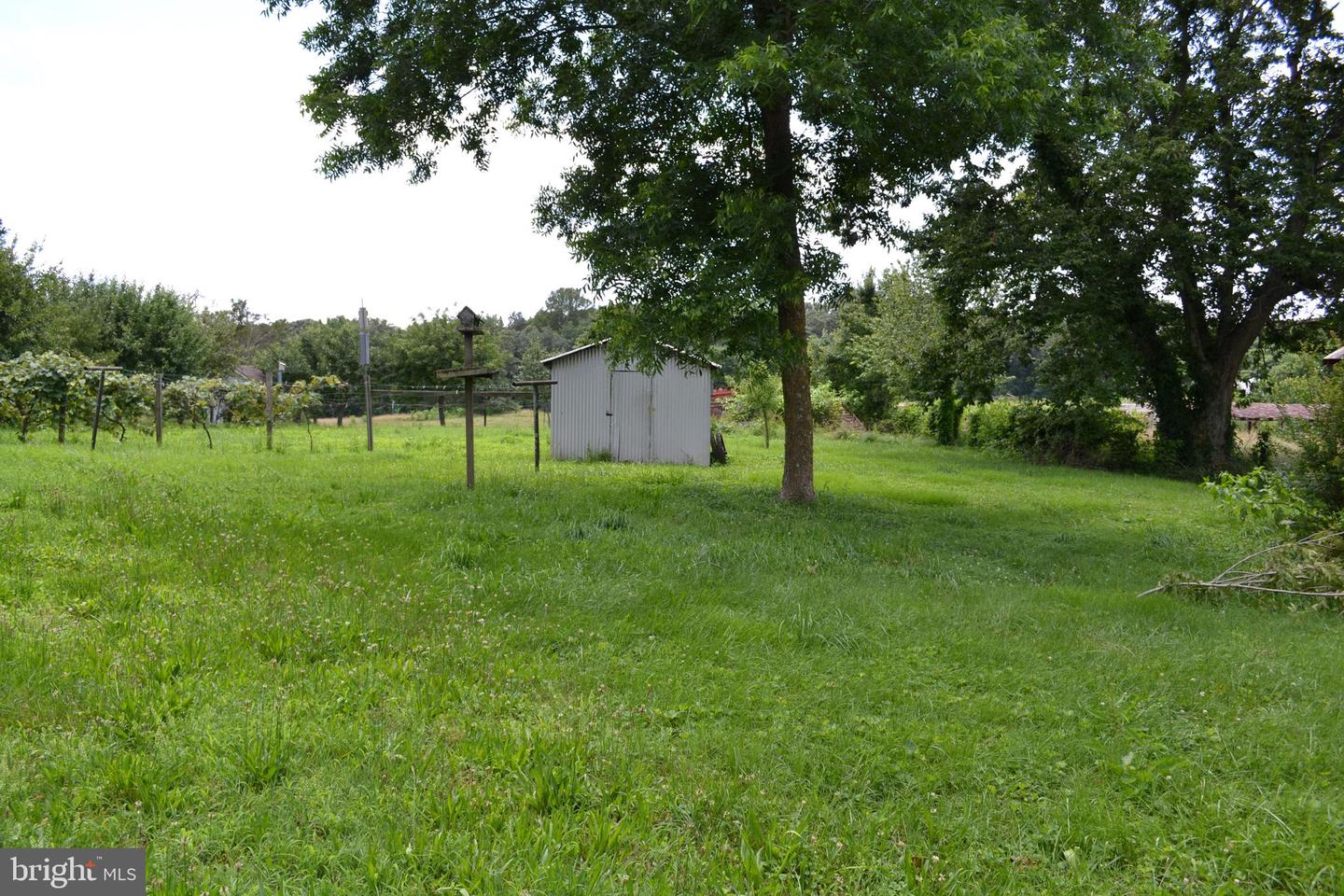 6830 BLACK ROCK DR, SPOTSYLVANIA, Virginia 22551, 3 Bedrooms Bedrooms, ,2 BathroomsBathrooms,Residential,For sale,6830 BLACK ROCK DR,VASP2034256 MLS # VASP2034256