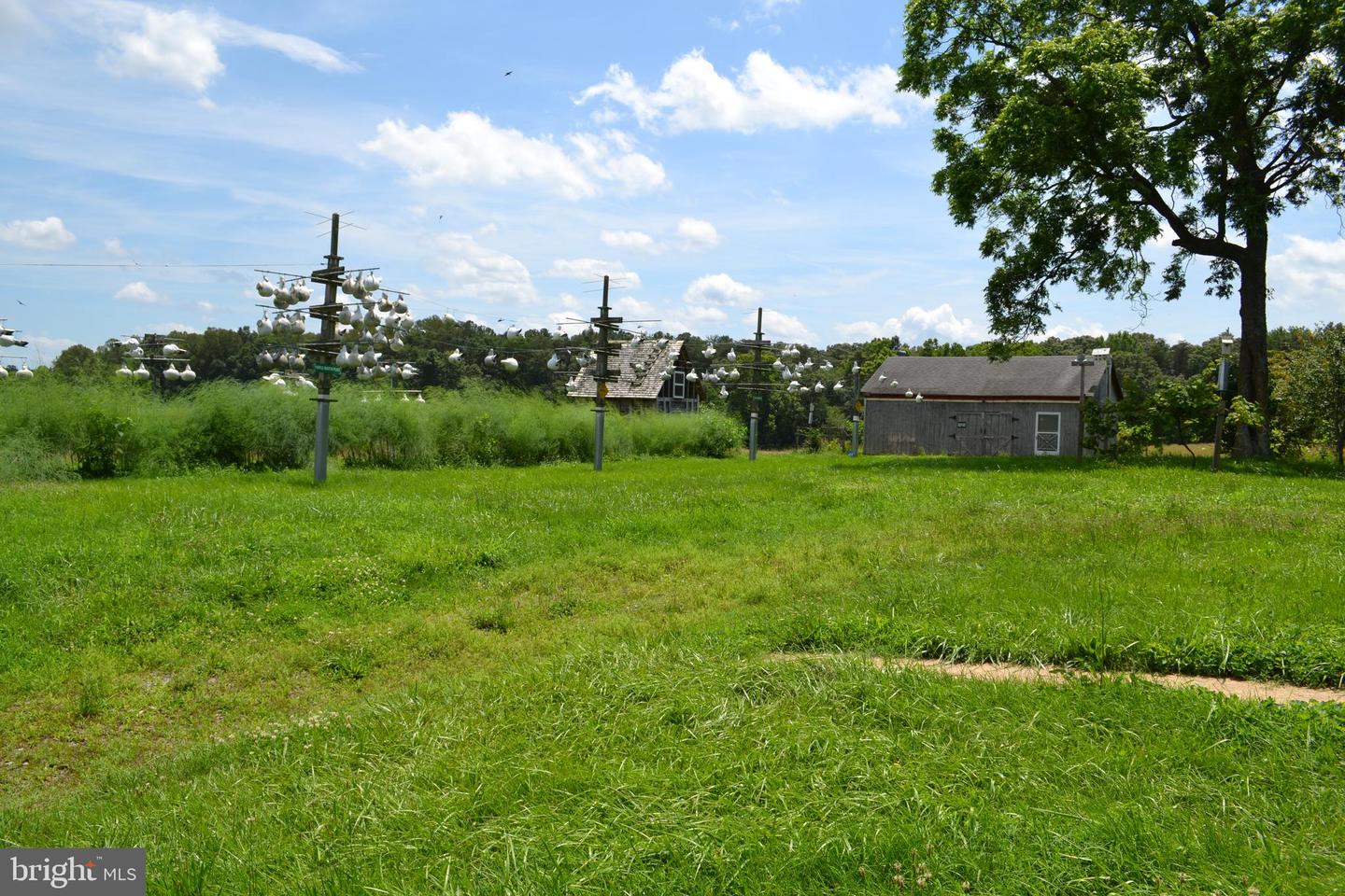 6830 BLACK ROCK DR, SPOTSYLVANIA, Virginia 22551, 3 Bedrooms Bedrooms, ,2 BathroomsBathrooms,Residential,For sale,6830 BLACK ROCK DR,VASP2034256 MLS # VASP2034256