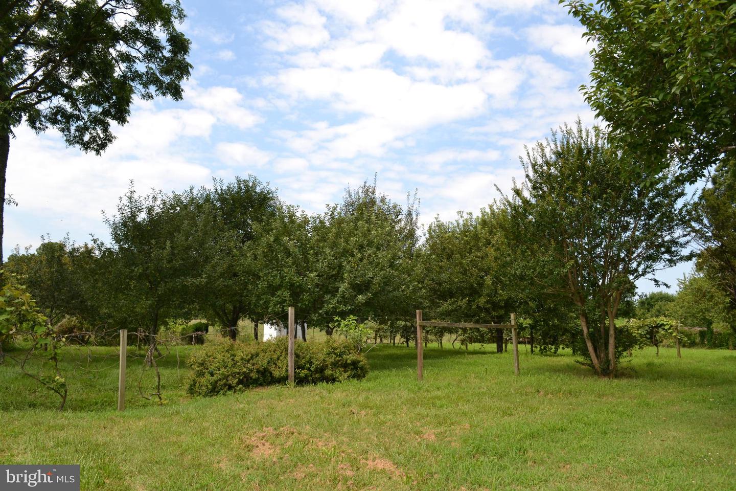 6830 BLACK ROCK DR, SPOTSYLVANIA, Virginia 22551, 3 Bedrooms Bedrooms, ,2 BathroomsBathrooms,Residential,For sale,6830 BLACK ROCK DR,VASP2034256 MLS # VASP2034256