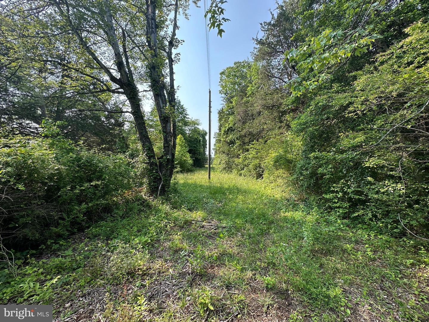 10017 HAYDEN RD, SPOTSYLVANIA, Virginia 22551, 1 Bedroom Bedrooms, ,1 BathroomBathrooms,Residential,For sale,10017 HAYDEN RD,VASP2034376 MLS # VASP2034376