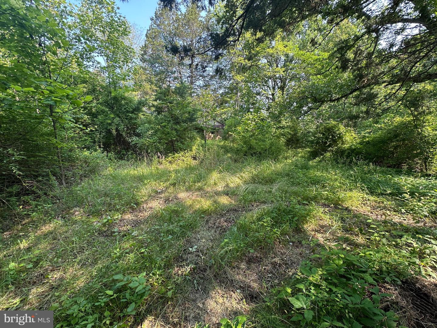 10017 HAYDEN RD, SPOTSYLVANIA, Virginia 22551, 1 Bedroom Bedrooms, ,1 BathroomBathrooms,Residential,For sale,10017 HAYDEN RD,VASP2034376 MLS # VASP2034376