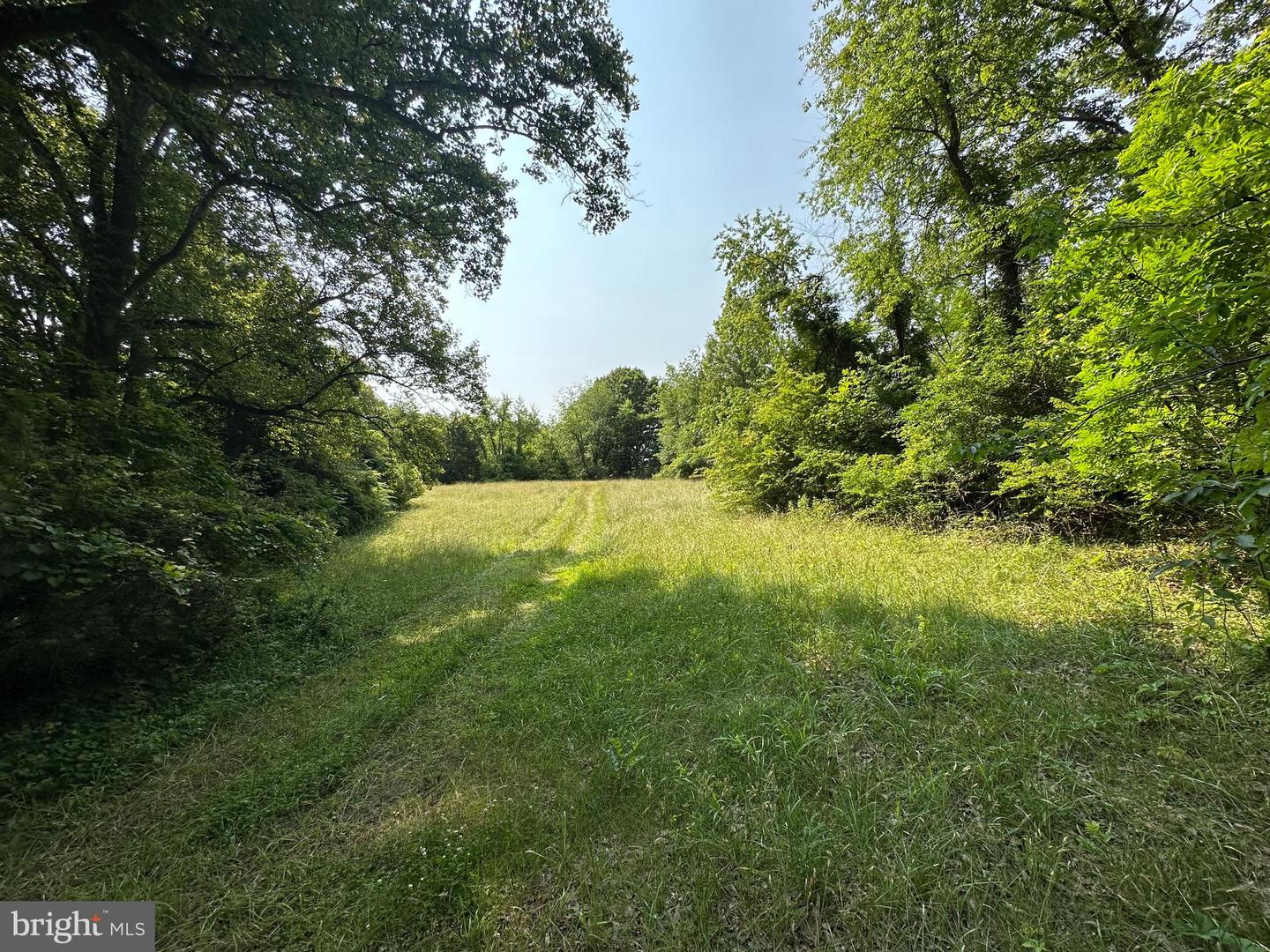 10017 HAYDEN RD, SPOTSYLVANIA, Virginia 22551, 1 Bedroom Bedrooms, ,1 BathroomBathrooms,Residential,For sale,10017 HAYDEN RD,VASP2034376 MLS # VASP2034376