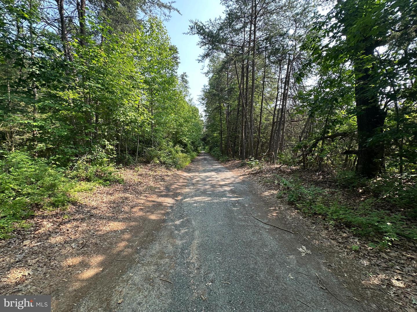 10017 HAYDEN RD, SPOTSYLVANIA, Virginia 22551, 1 Bedroom Bedrooms, ,1 BathroomBathrooms,Residential,For sale,10017 HAYDEN RD,VASP2034376 MLS # VASP2034376