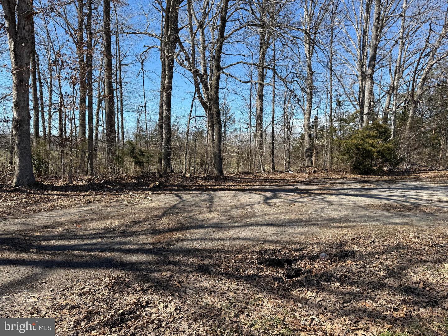 LOT 2A & 4 ZACHARY TAYLOR HWY, ORANGE, Virginia 22960, ,Land,For sale,LOT 2A & 4 ZACHARY TAYLOR HWY,VASP2034396 MLS # VASP2034396