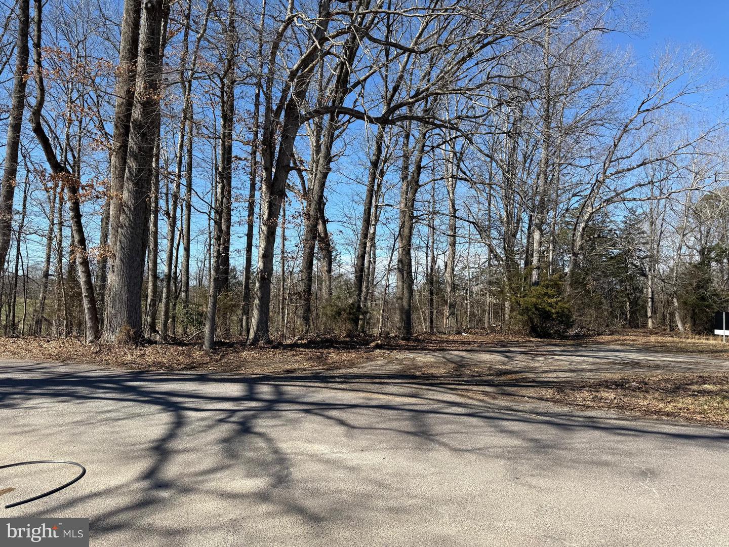 LOT 2A & 4 ZACHARY TAYLOR HWY, ORANGE, Virginia 22960, ,Land,For sale,LOT 2A & 4 ZACHARY TAYLOR HWY,VASP2034396 MLS # VASP2034396
