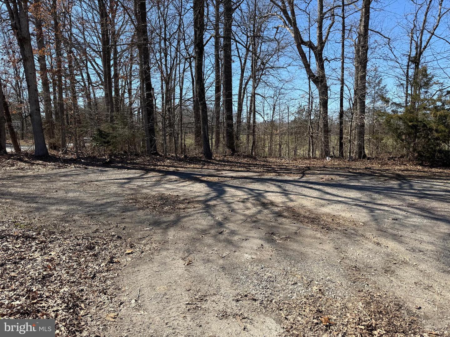 LOT 2A & 4 ZACHARY TAYLOR HWY, ORANGE, Virginia 22960, ,Land,For sale,LOT 2A & 4 ZACHARY TAYLOR HWY,VASP2034396 MLS # VASP2034396
