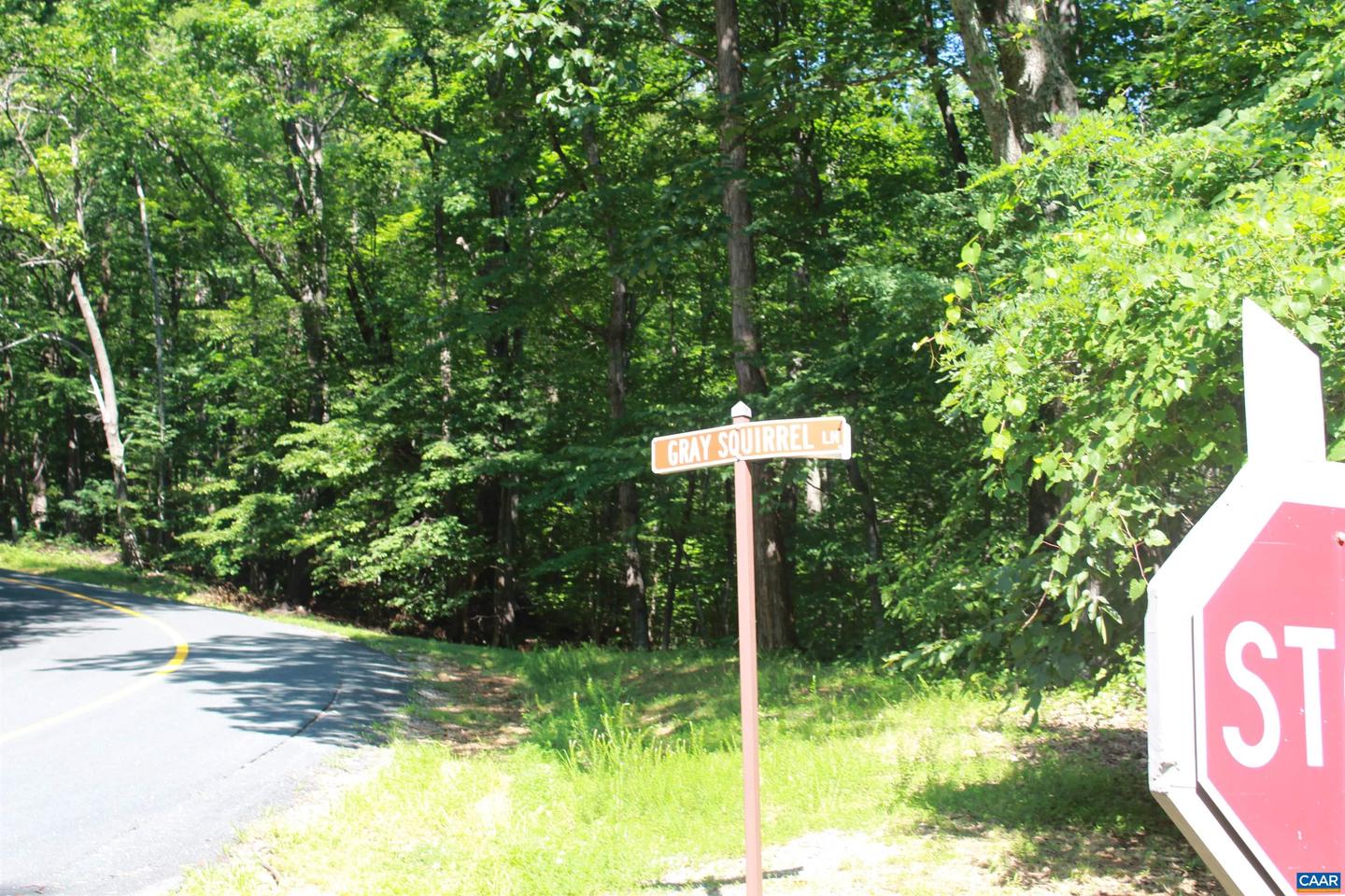 38 GRAY SQUIRREL LN, NELLYSFORD, Virginia 22958, ,Land,For sale,38 GRAY SQUIRREL LN,666328 MLS # 666328