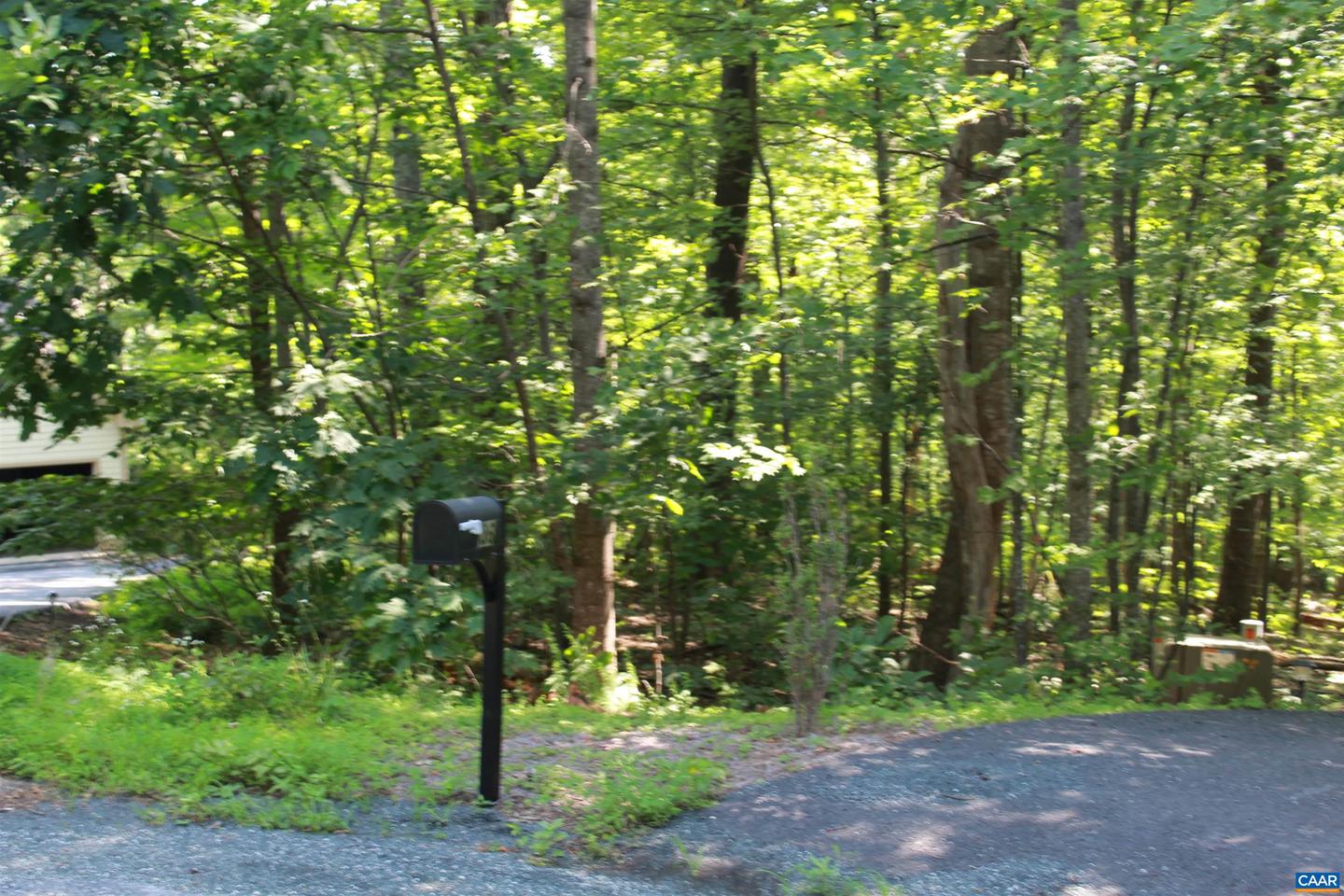 38 GRAY SQUIRREL LN, NELLYSFORD, Virginia 22958, ,Land,For sale,38 GRAY SQUIRREL LN,666328 MLS # 666328