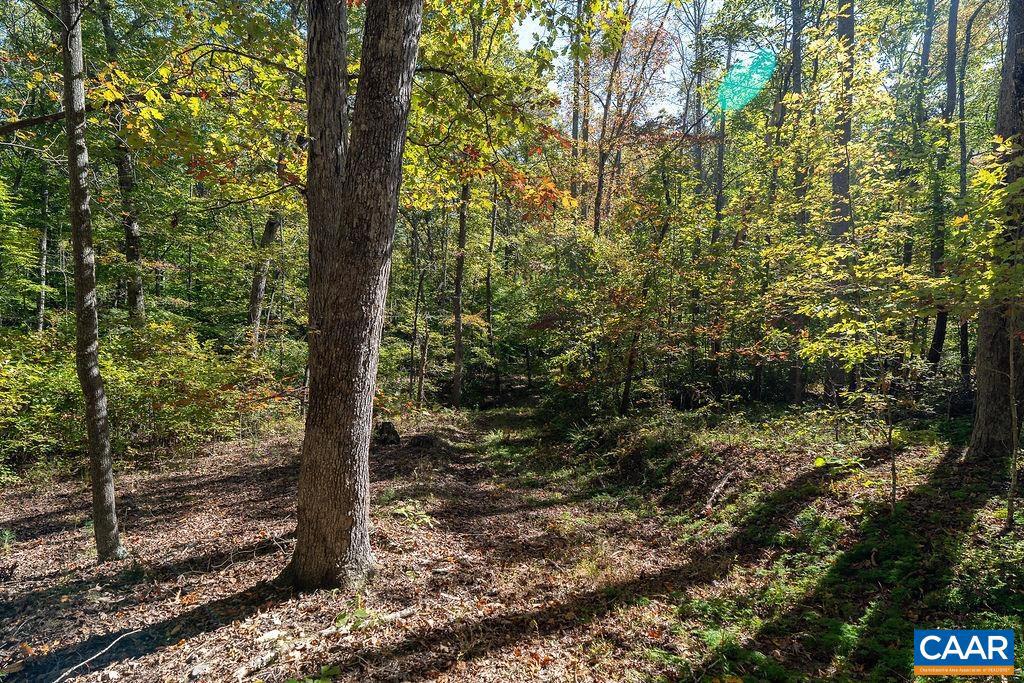 374 WHITE OAK DR, PALMYRA, Virginia 22963, 3 Bedrooms Bedrooms, ,2 BathroomsBathrooms,Residential,For sale,374 WHITE OAK DR,666320 MLS # 666320