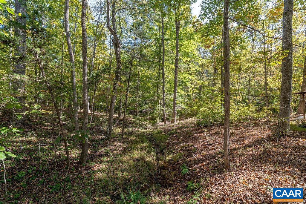 374 WHITE OAK DR, PALMYRA, Virginia 22963, 3 Bedrooms Bedrooms, ,2 BathroomsBathrooms,Residential,For sale,374 WHITE OAK DR,666320 MLS # 666320