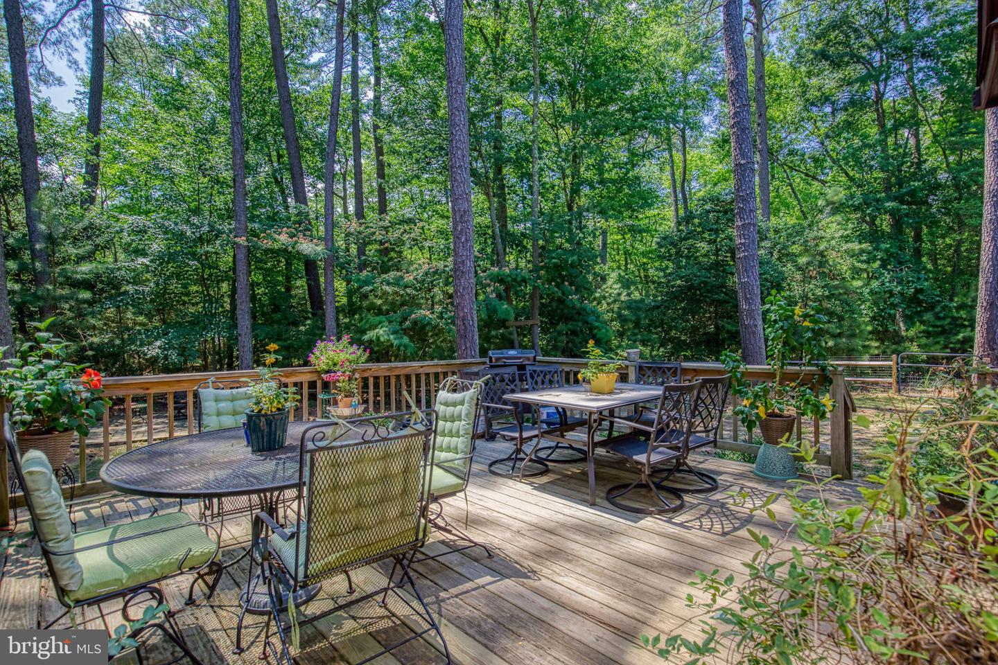 120 TWIN HARBOR RD, REEDVILLE, Virginia 22539, 4 Bedrooms Bedrooms, ,3 BathroomsBathrooms,Residential,For sale,120 TWIN HARBOR RD,VANV2001670 MLS # VANV2001670