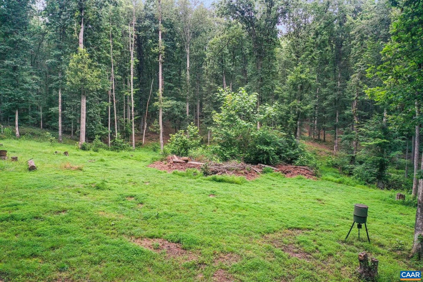22191 BERRY RUN RD, ORANGE, Virginia 22960, 3 Bedrooms Bedrooms, ,2 BathroomsBathrooms,Residential,For sale,22191 BERRY RUN RD,666326 MLS # 666326