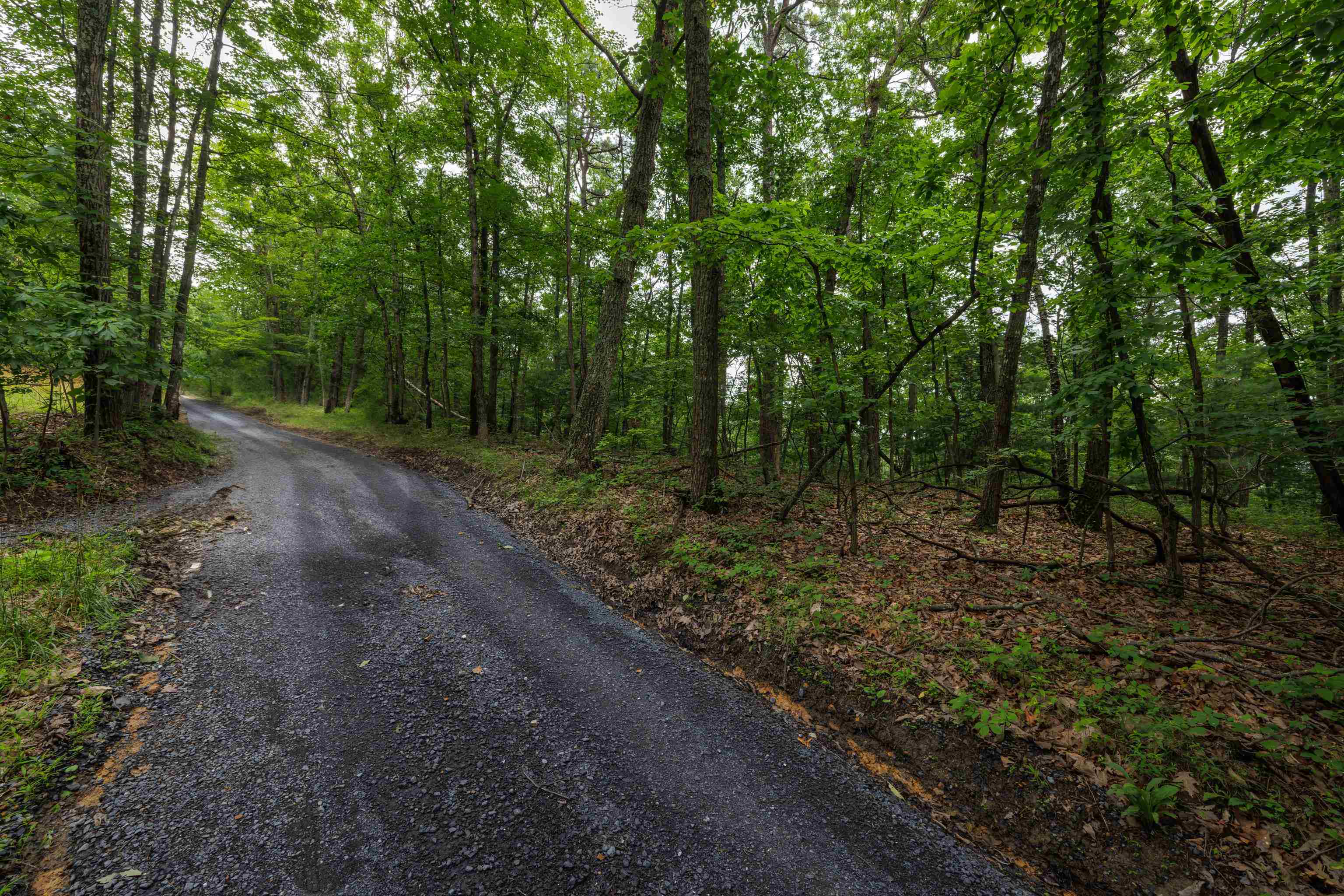 0 TOWER MOUNTAIN LN, MOUNT JACKSON, Virginia 22842, ,Land,0 TOWER MOUNTAIN LN,666341 MLS # 666341