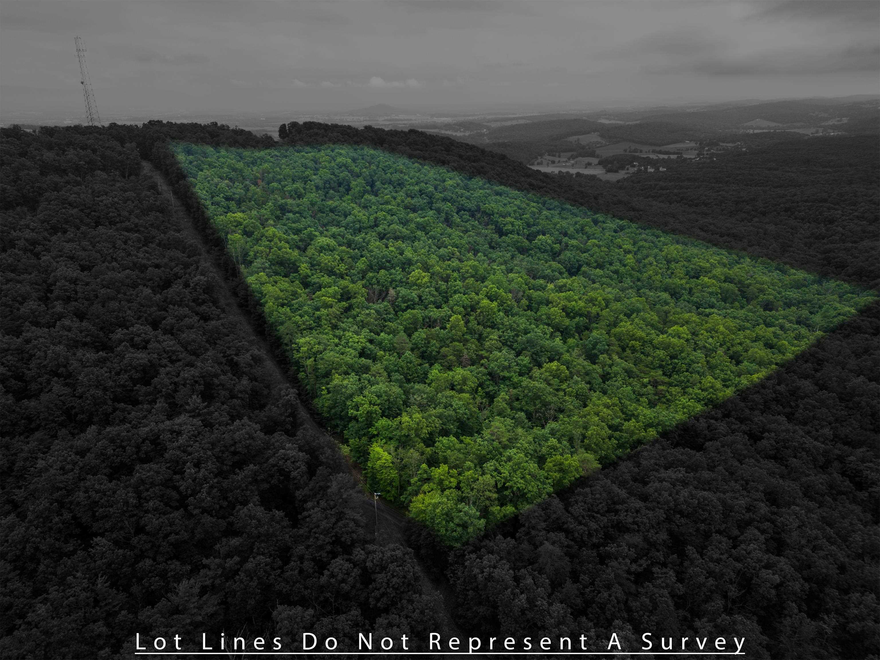 0 TOWER MOUNTAIN LN, MOUNT JACKSON, Virginia 22842, ,Land,0 TOWER MOUNTAIN LN,666341 MLS # 666341