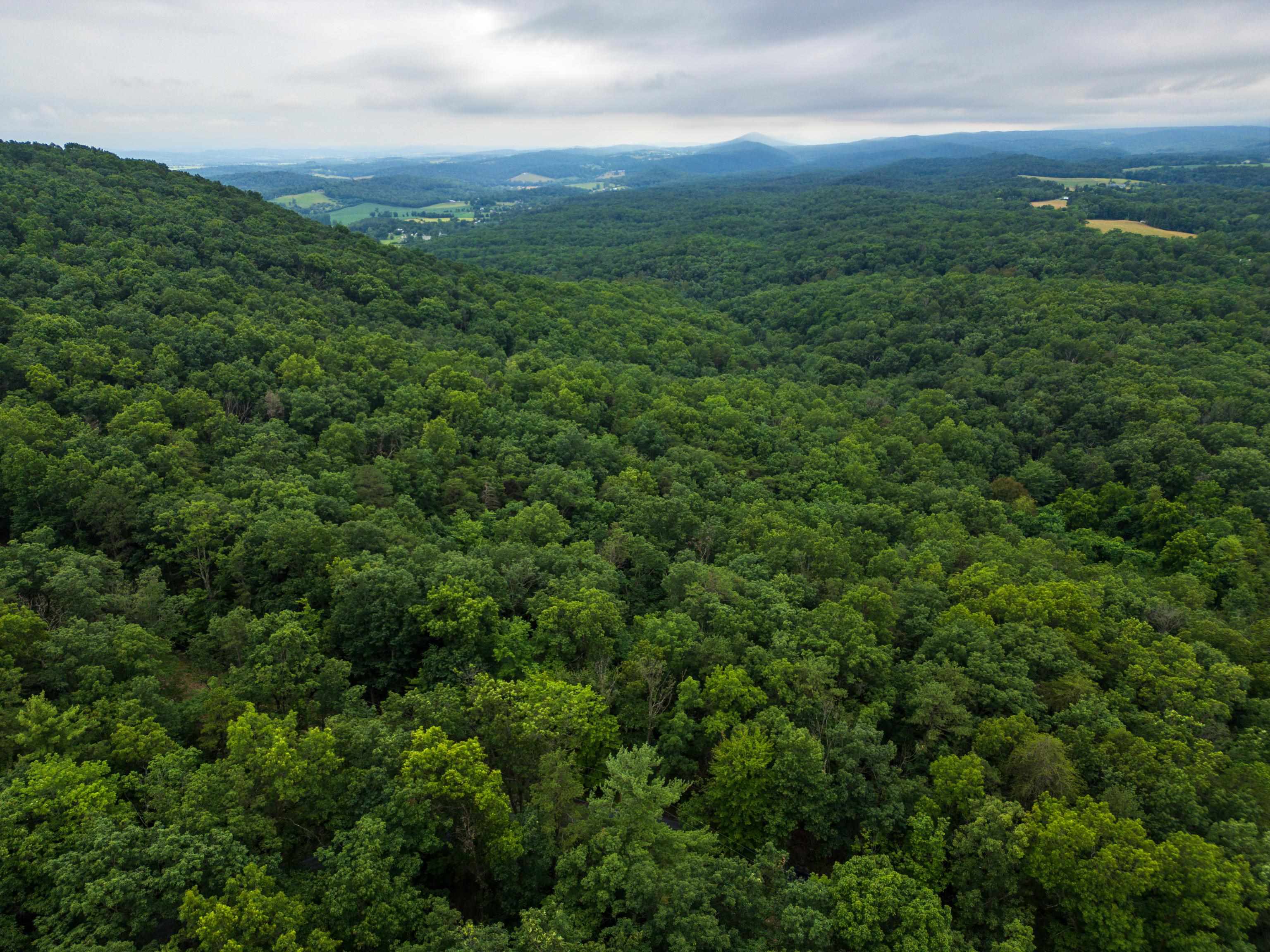 0 TOWER MOUNTAIN LN, MOUNT JACKSON, Virginia 22842, ,Land,0 TOWER MOUNTAIN LN,666341 MLS # 666341