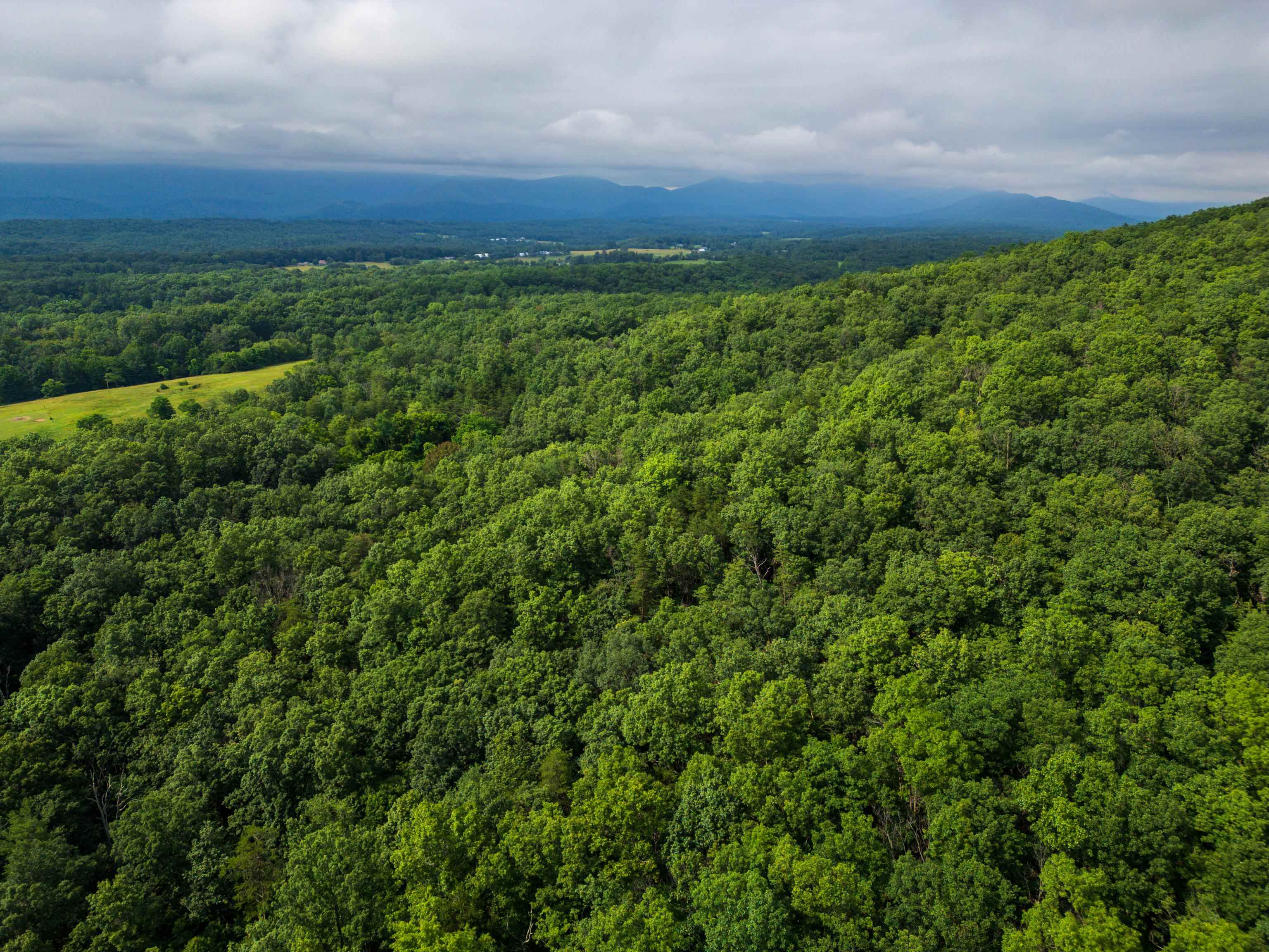 0 TOWER MOUNTAIN LN, MOUNT JACKSON, Virginia 22842, ,Land,0 TOWER MOUNTAIN LN,666341 MLS # 666341