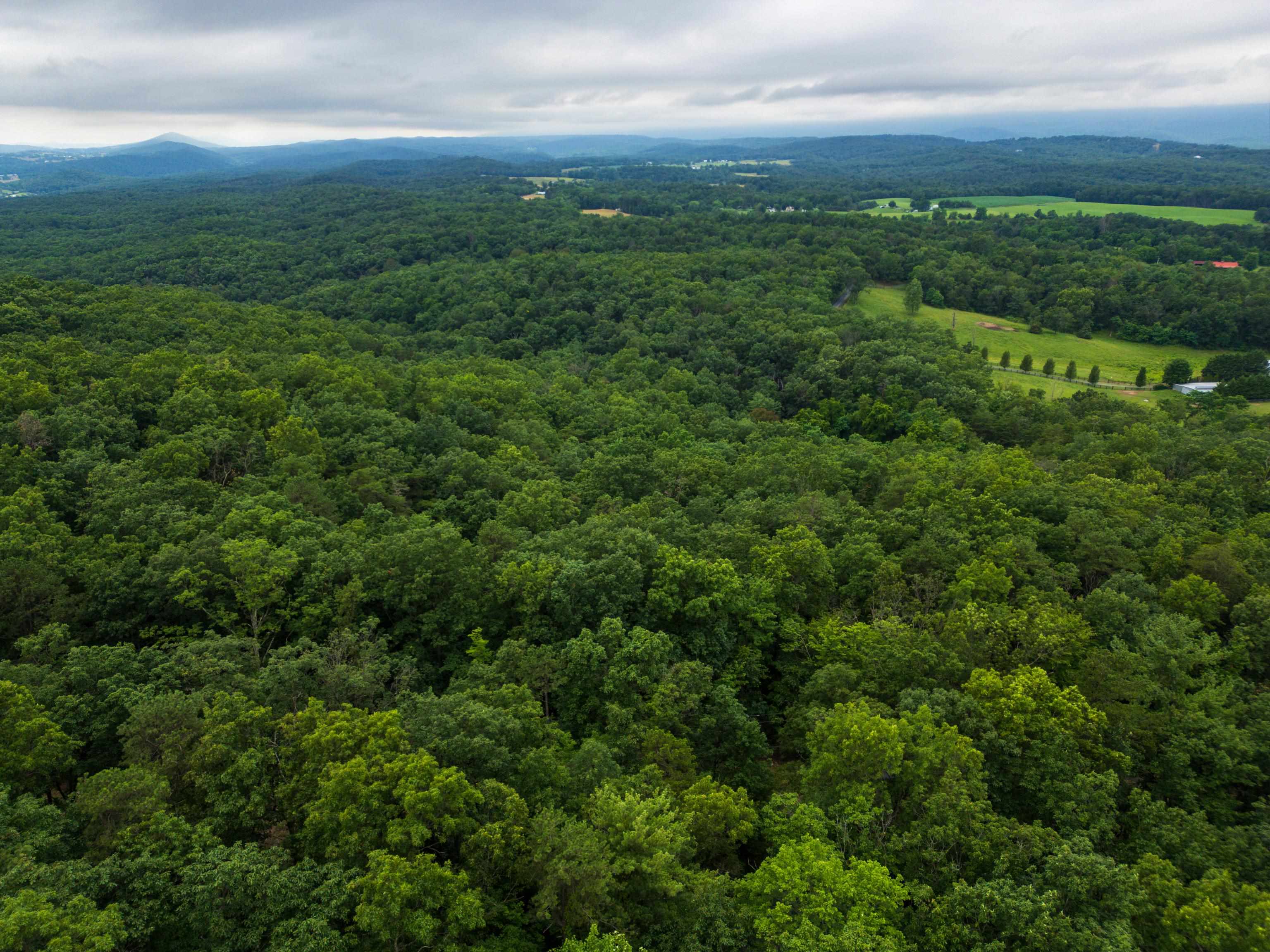 0 TOWER MOUNTAIN LN, MOUNT JACKSON, Virginia 22842, ,Land,0 TOWER MOUNTAIN LN,666341 MLS # 666341