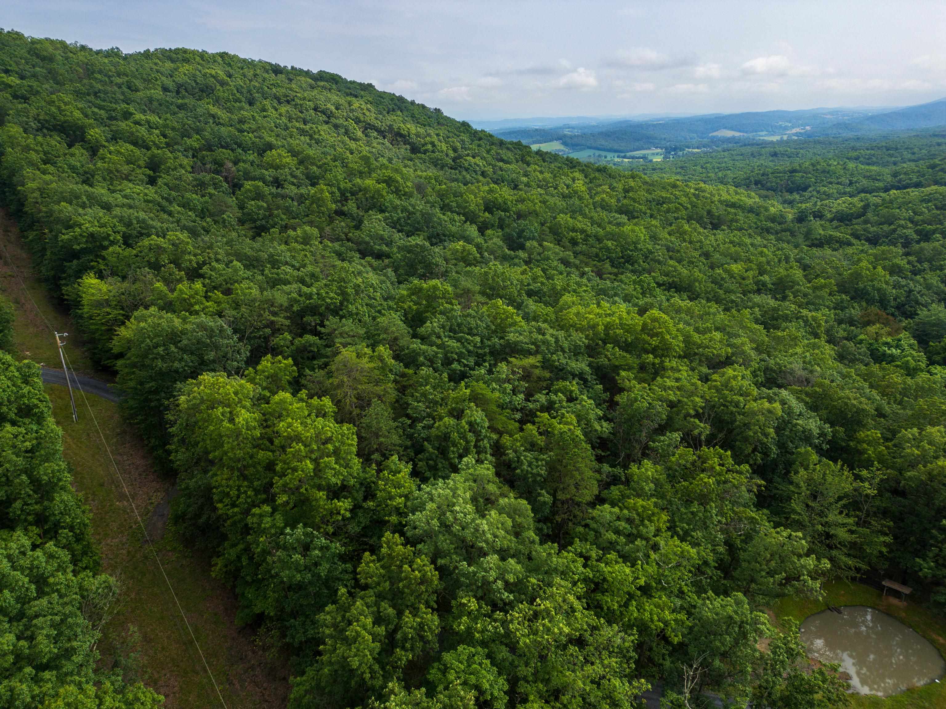 0 TOWER MOUNTAIN LN, MOUNT JACKSON, Virginia 22842, ,Land,0 TOWER MOUNTAIN LN,666341 MLS # 666341