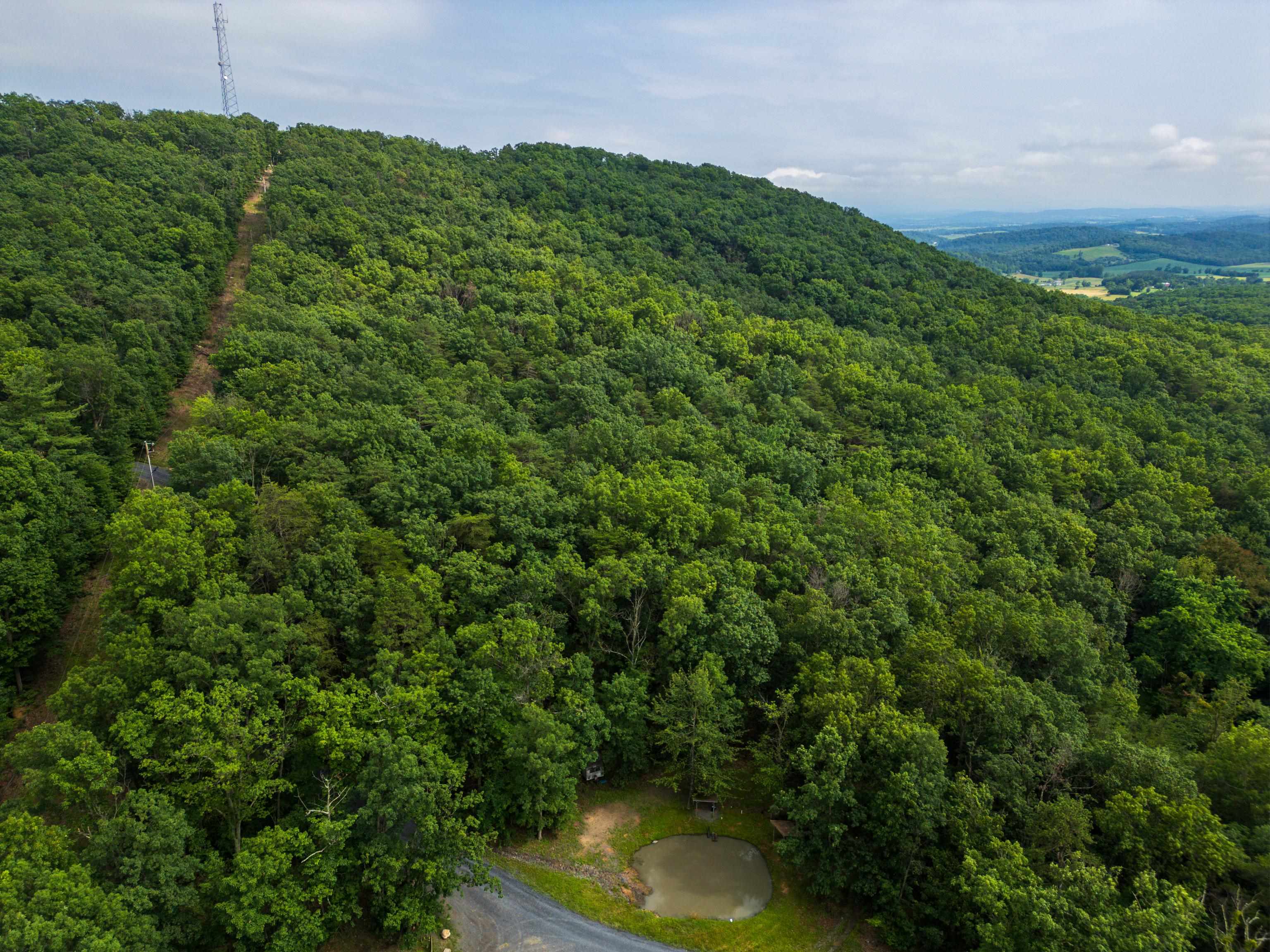0 TOWER MOUNTAIN LN, MOUNT JACKSON, Virginia 22842, ,Land,0 TOWER MOUNTAIN LN,666341 MLS # 666341