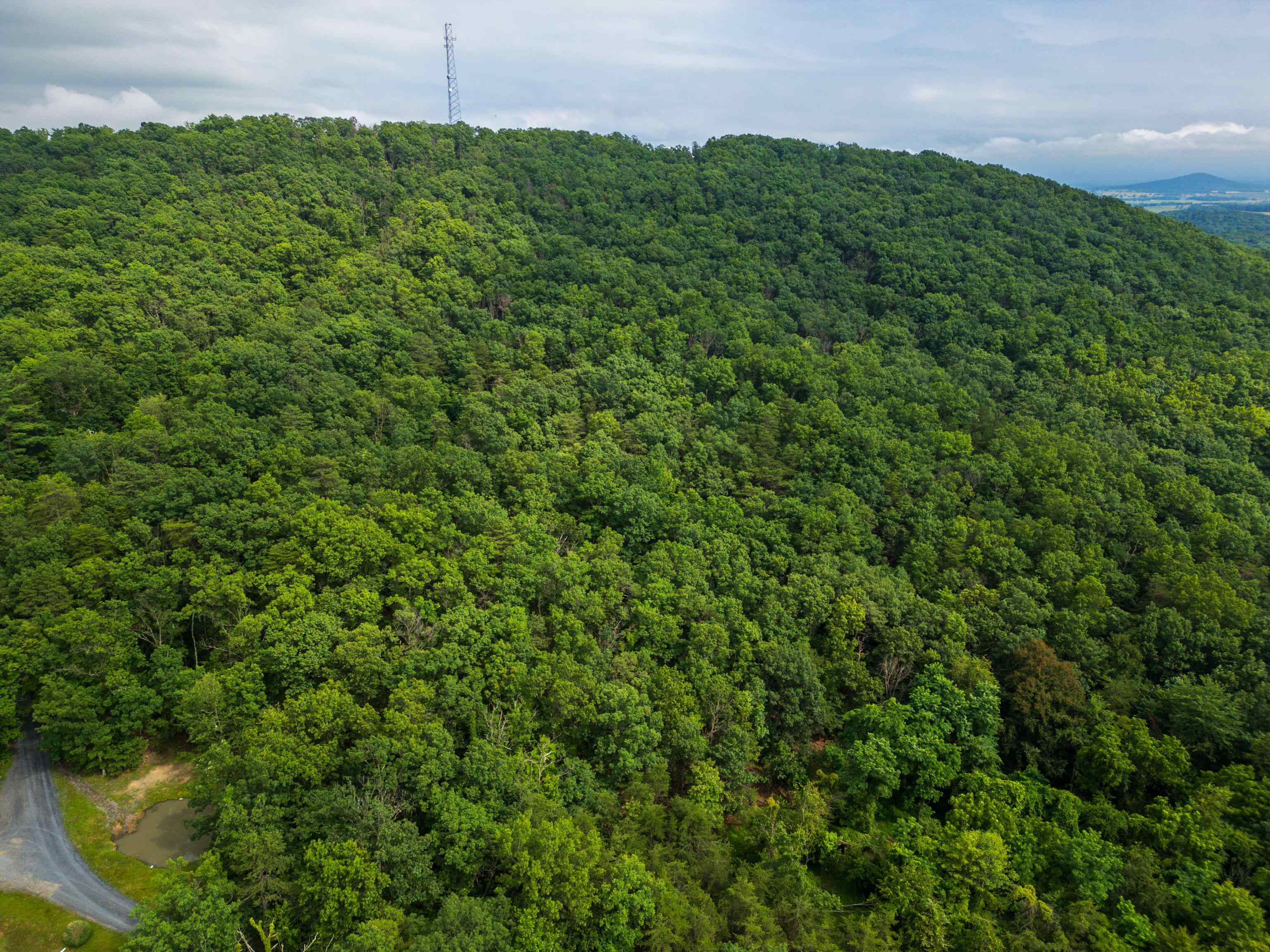 0 TOWER MOUNTAIN LN, MOUNT JACKSON, Virginia 22842, ,Land,0 TOWER MOUNTAIN LN,666341 MLS # 666341