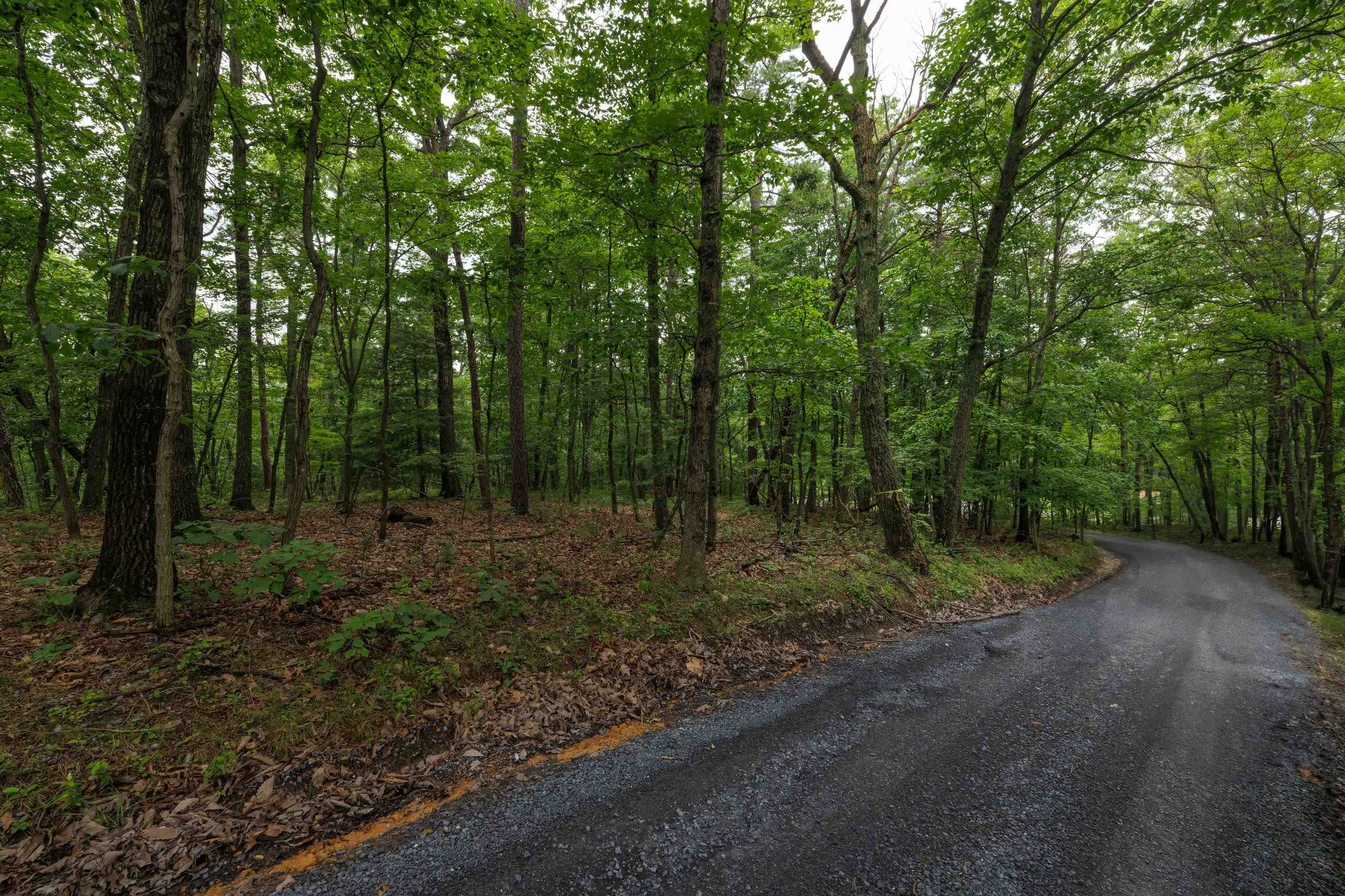 0 TOWER MOUNTAIN LN, MOUNT JACKSON, Virginia 22842, ,Land,0 TOWER MOUNTAIN LN,666341 MLS # 666341