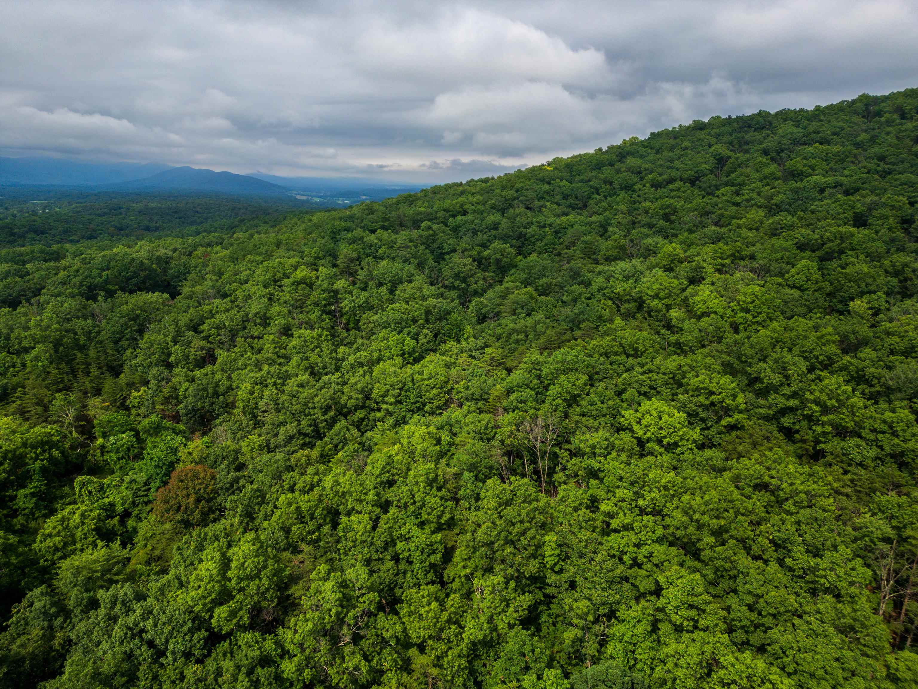 0 TOWER MOUNTAIN LN, MOUNT JACKSON, Virginia 22842, ,Land,0 TOWER MOUNTAIN LN,666341 MLS # 666341