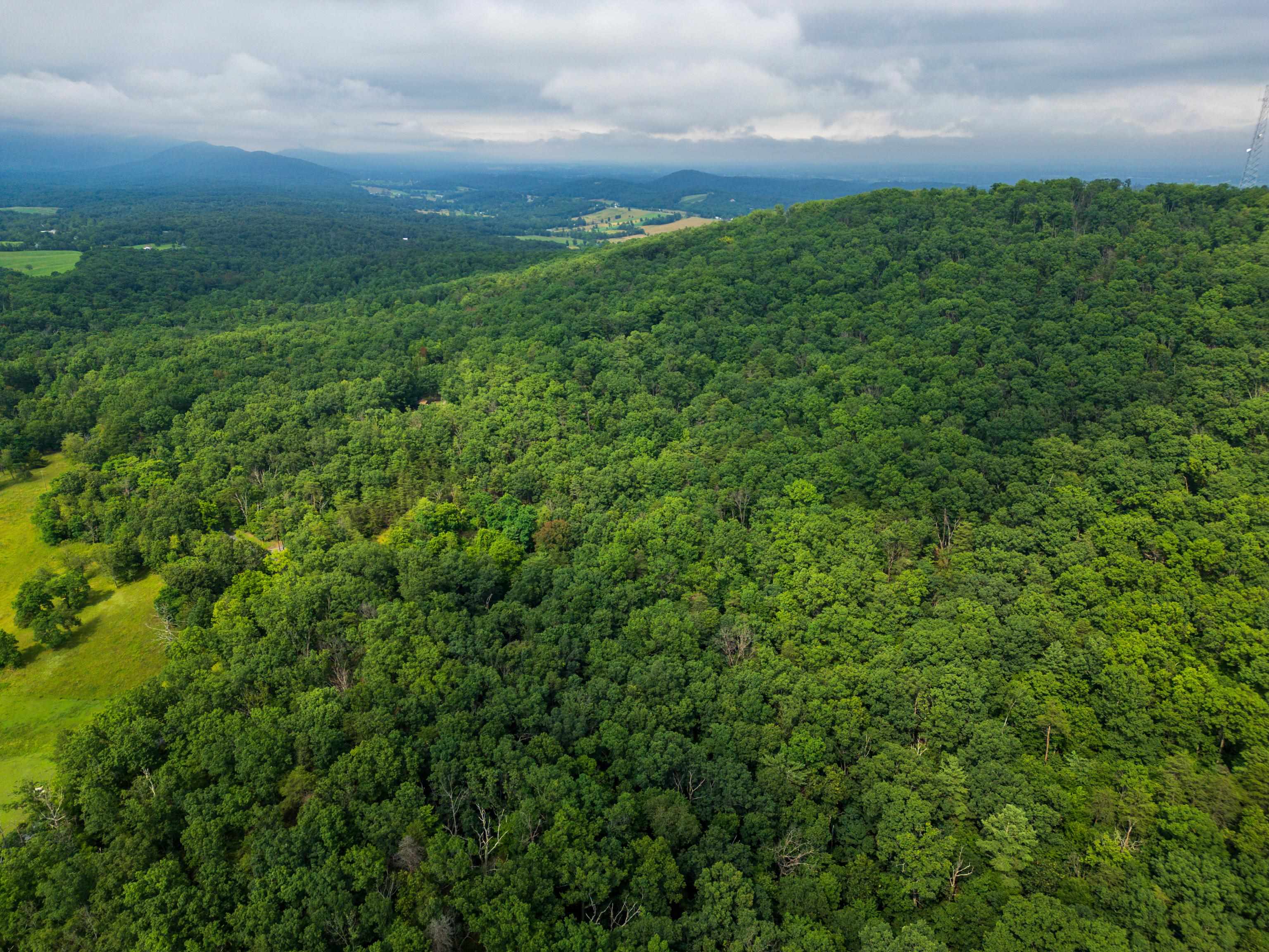 0 TOWER MOUNTAIN LN, MOUNT JACKSON, Virginia 22842, ,Land,0 TOWER MOUNTAIN LN,666341 MLS # 666341
