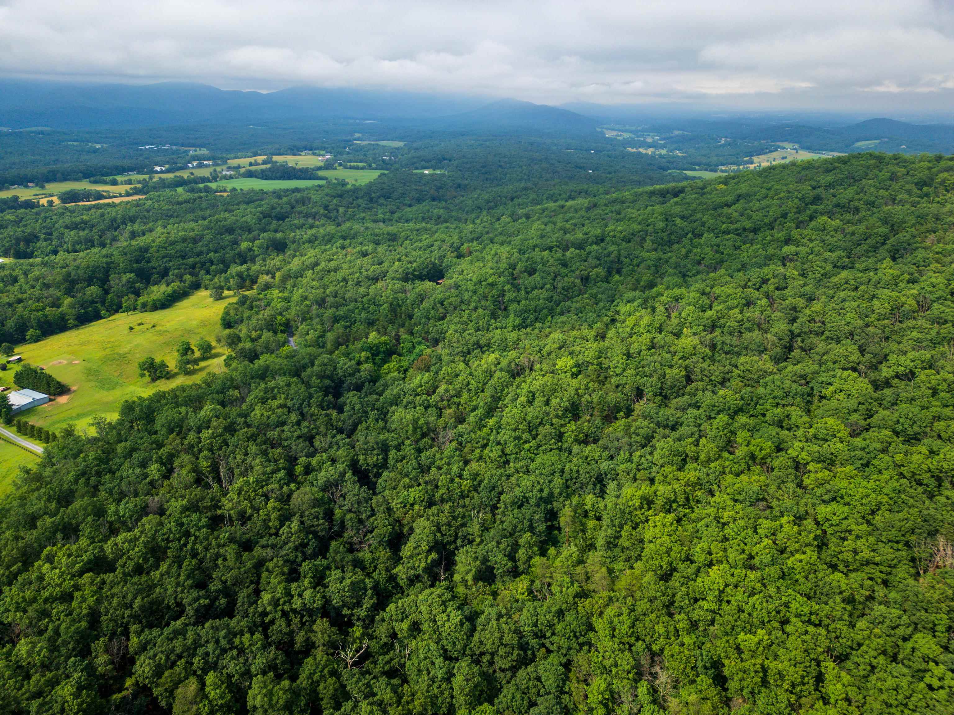 0 TOWER MOUNTAIN LN, MOUNT JACKSON, Virginia 22842, ,Land,0 TOWER MOUNTAIN LN,666341 MLS # 666341