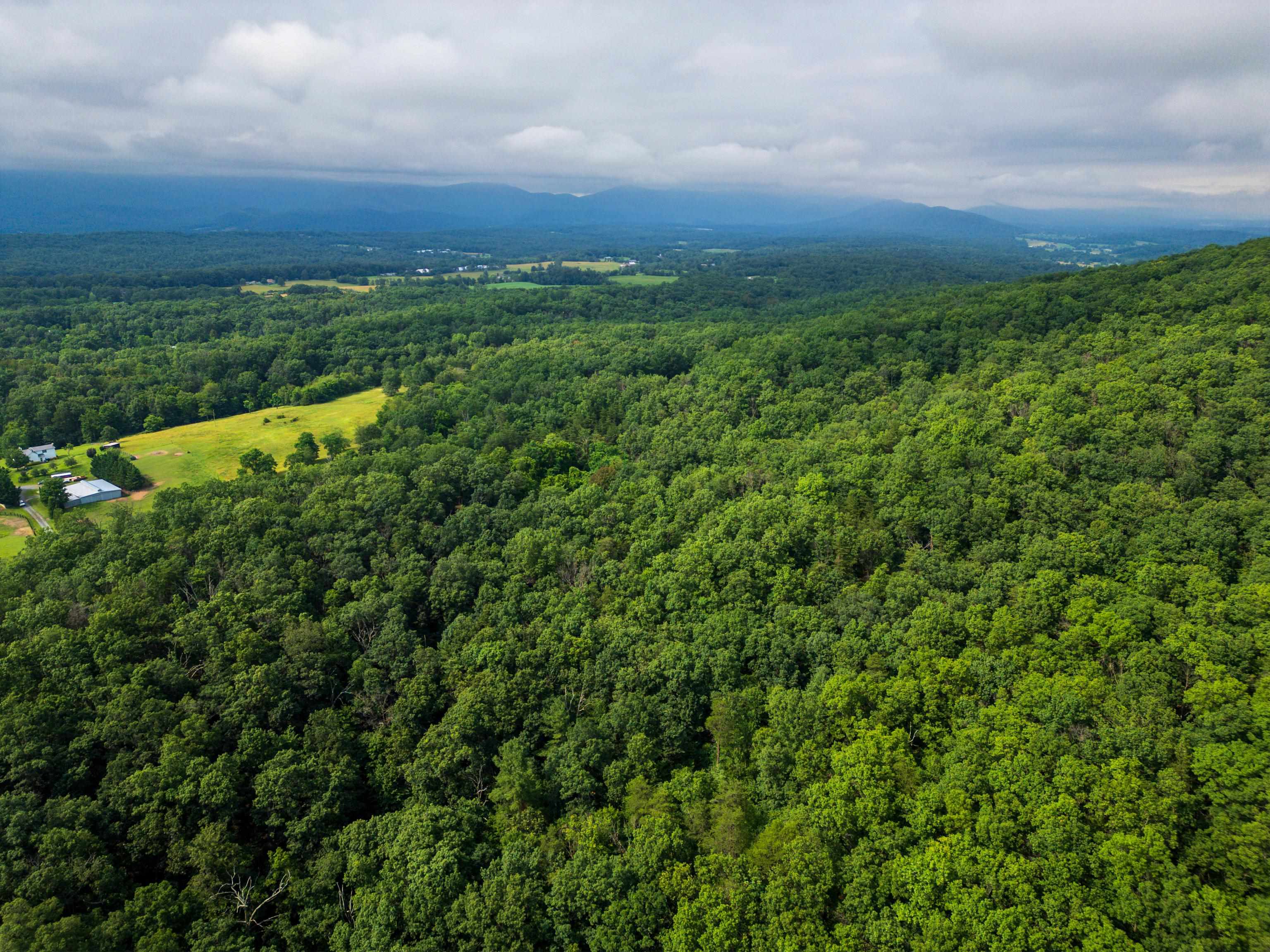 0 TOWER MOUNTAIN LN, MOUNT JACKSON, Virginia 22842, ,Land,0 TOWER MOUNTAIN LN,666341 MLS # 666341