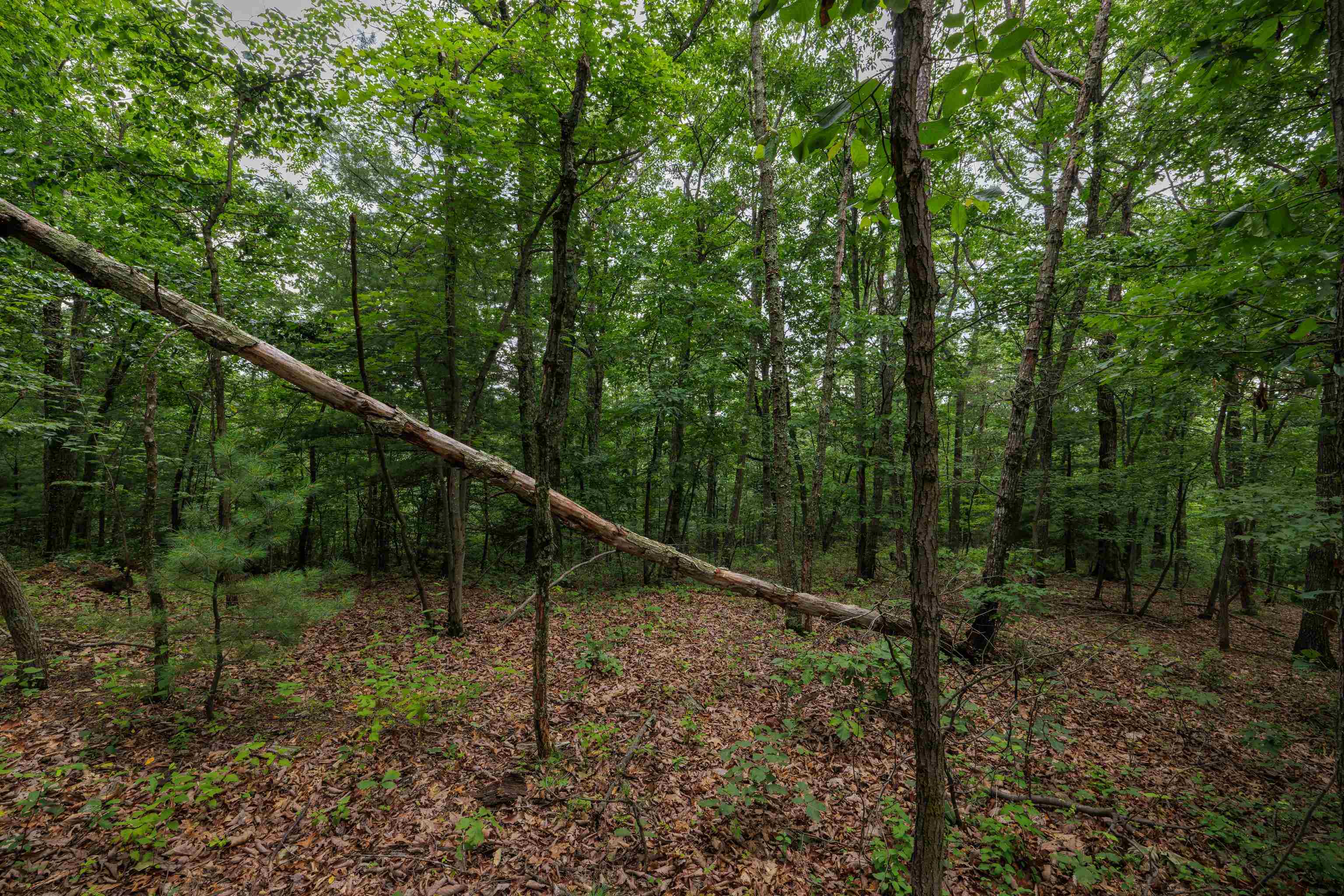 0 TOWER MOUNTAIN LN, MOUNT JACKSON, Virginia 22842, ,Land,0 TOWER MOUNTAIN LN,666341 MLS # 666341