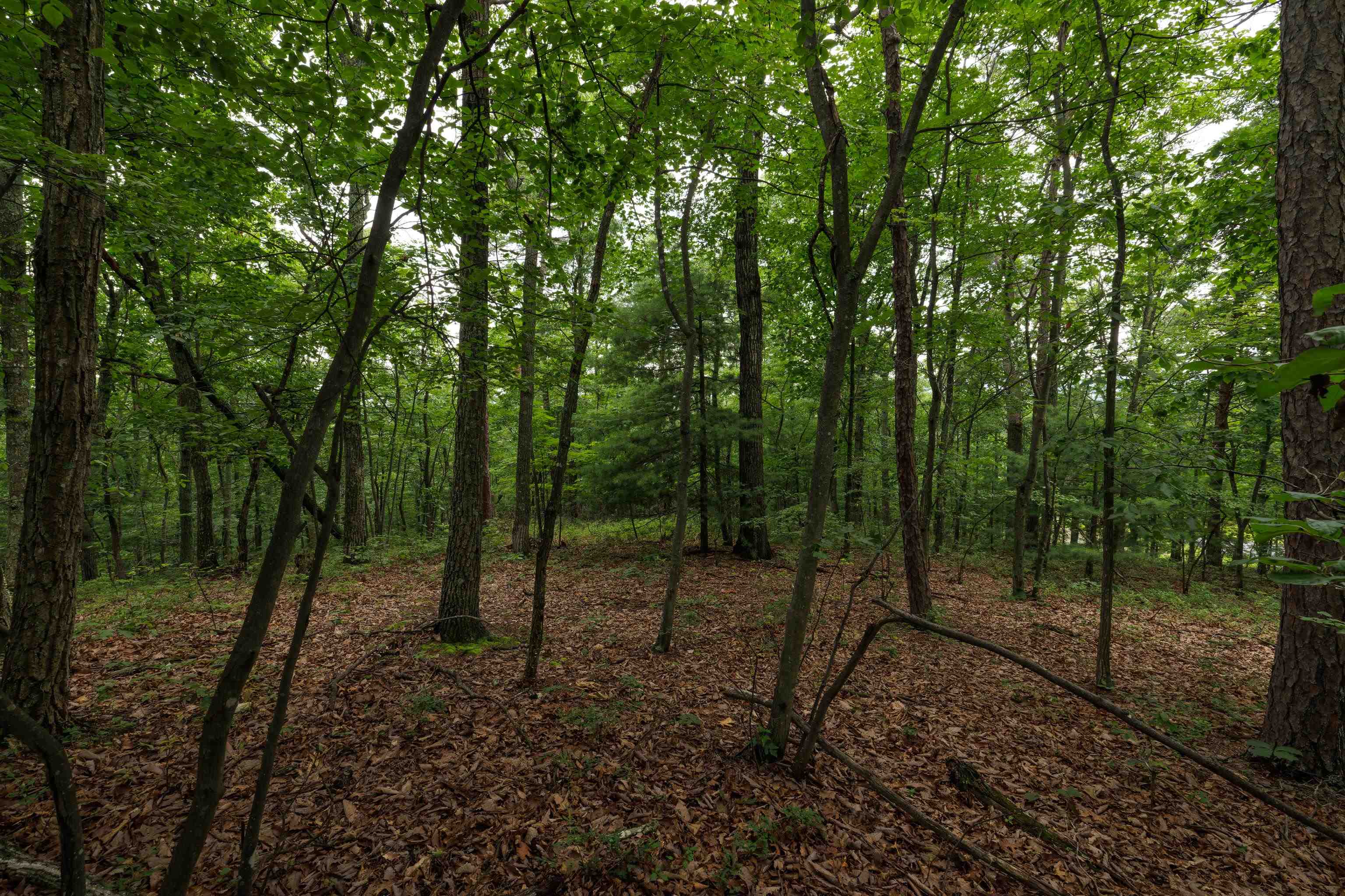 0 TOWER MOUNTAIN LN, MOUNT JACKSON, Virginia 22842, ,Land,0 TOWER MOUNTAIN LN,666341 MLS # 666341