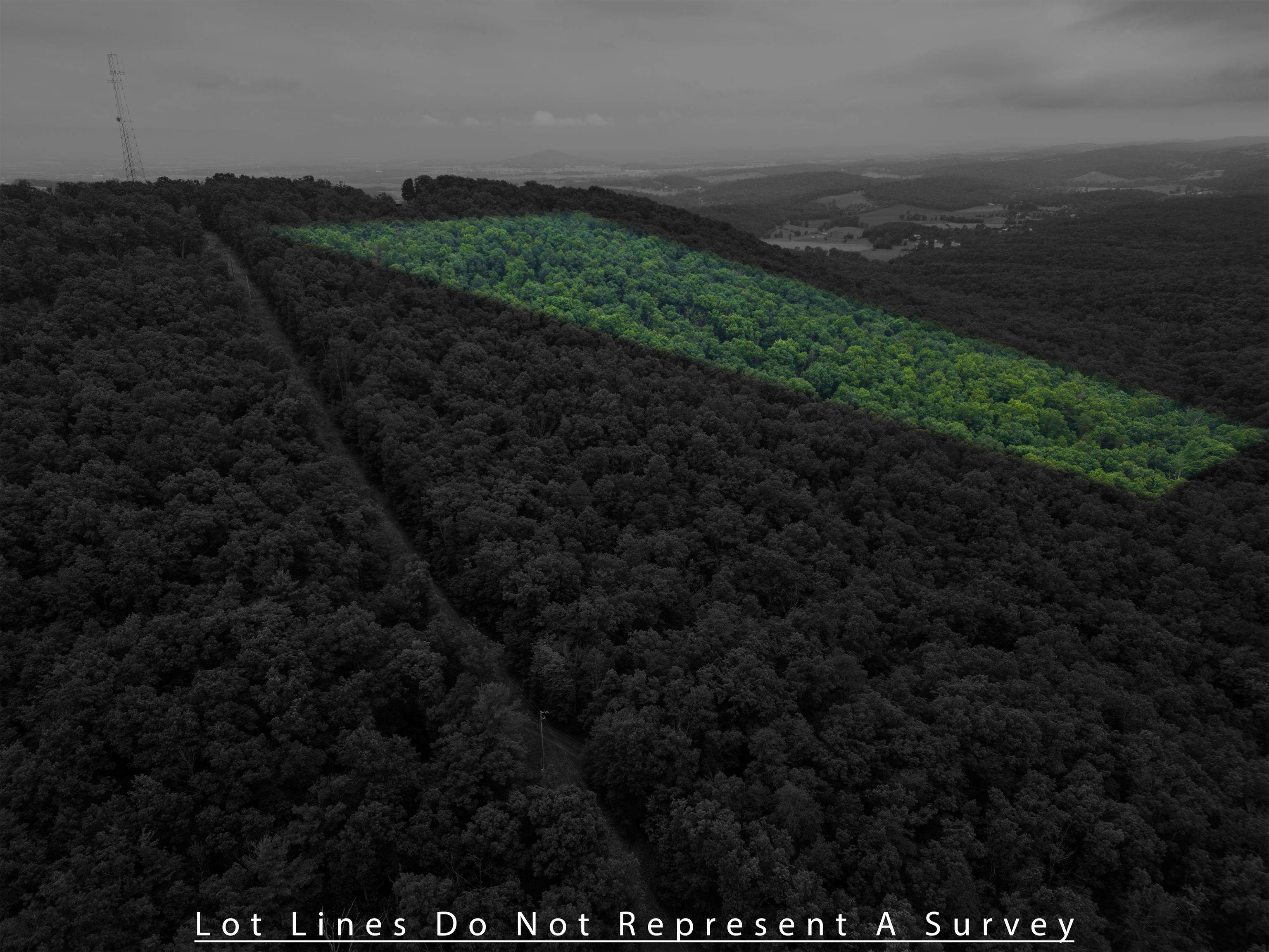 0 TOWER MOUNTAIN LN, MOUNT JACKSON, Virginia 22842, ,Land,0 TOWER MOUNTAIN LN,666341 MLS # 666341